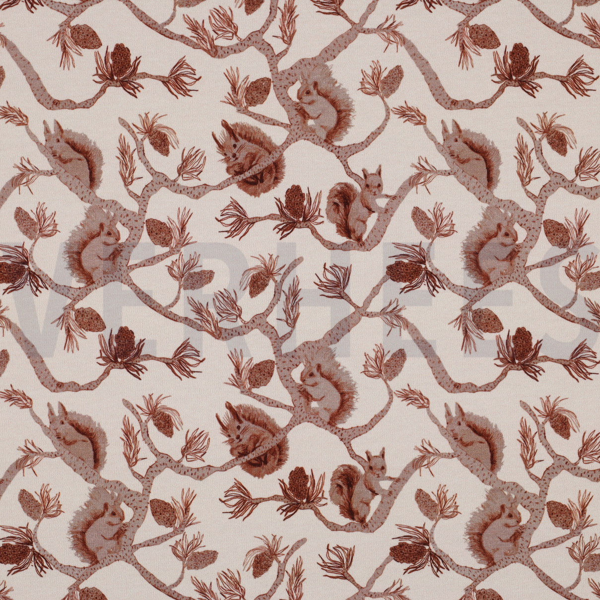 FRENCH TERRY DIGITAL EICHHÖRNCHEN ECRU (high resolution)