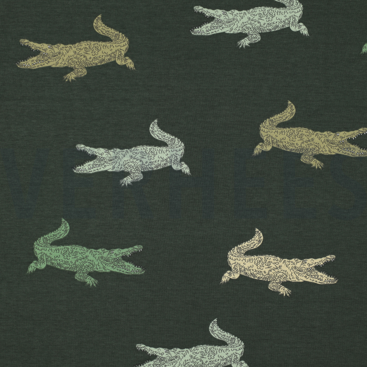 JERSEY CROCODILES VERT ARMÉE (high resolution)