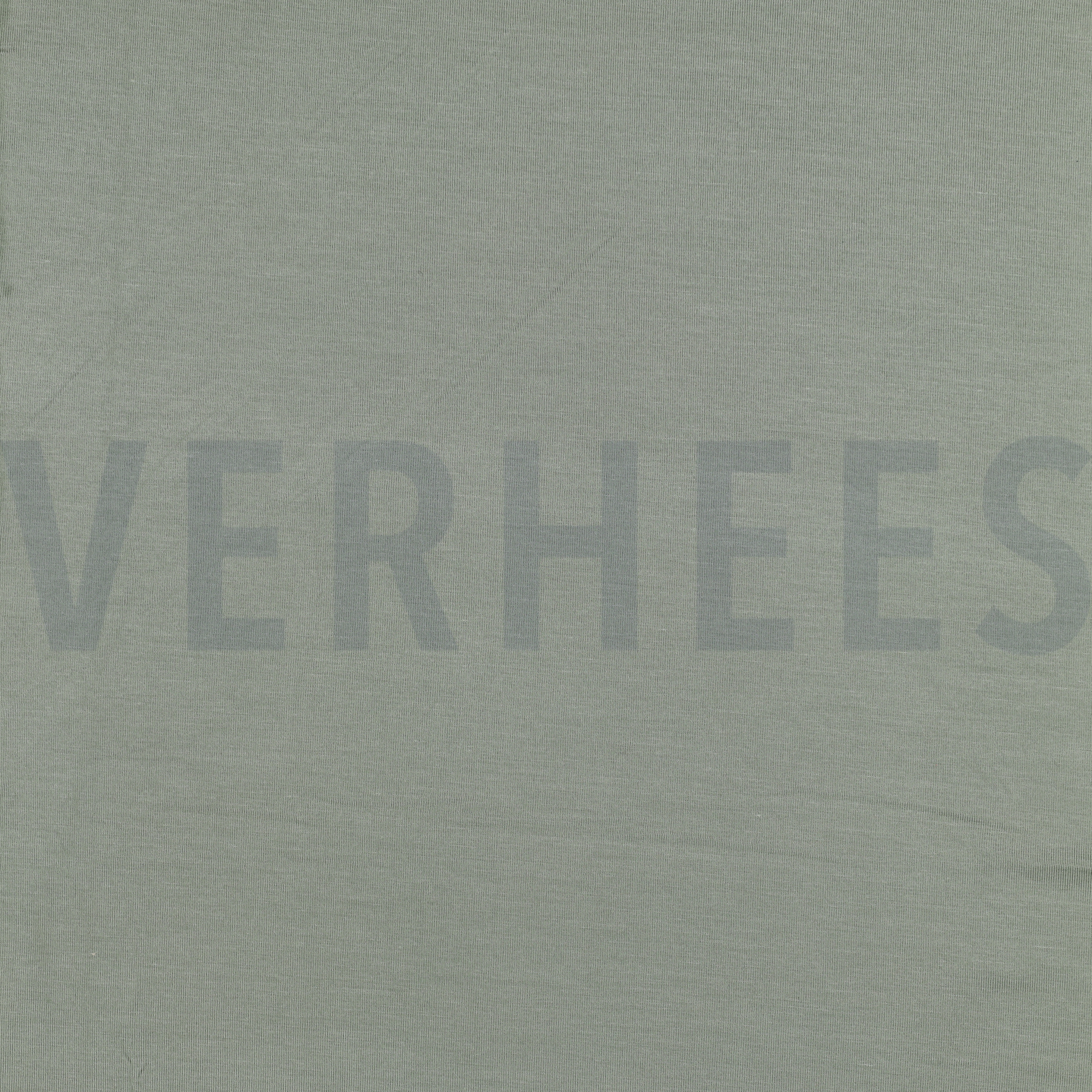 TENCEL™ MODAL JERSEY MINZE (high resolution)