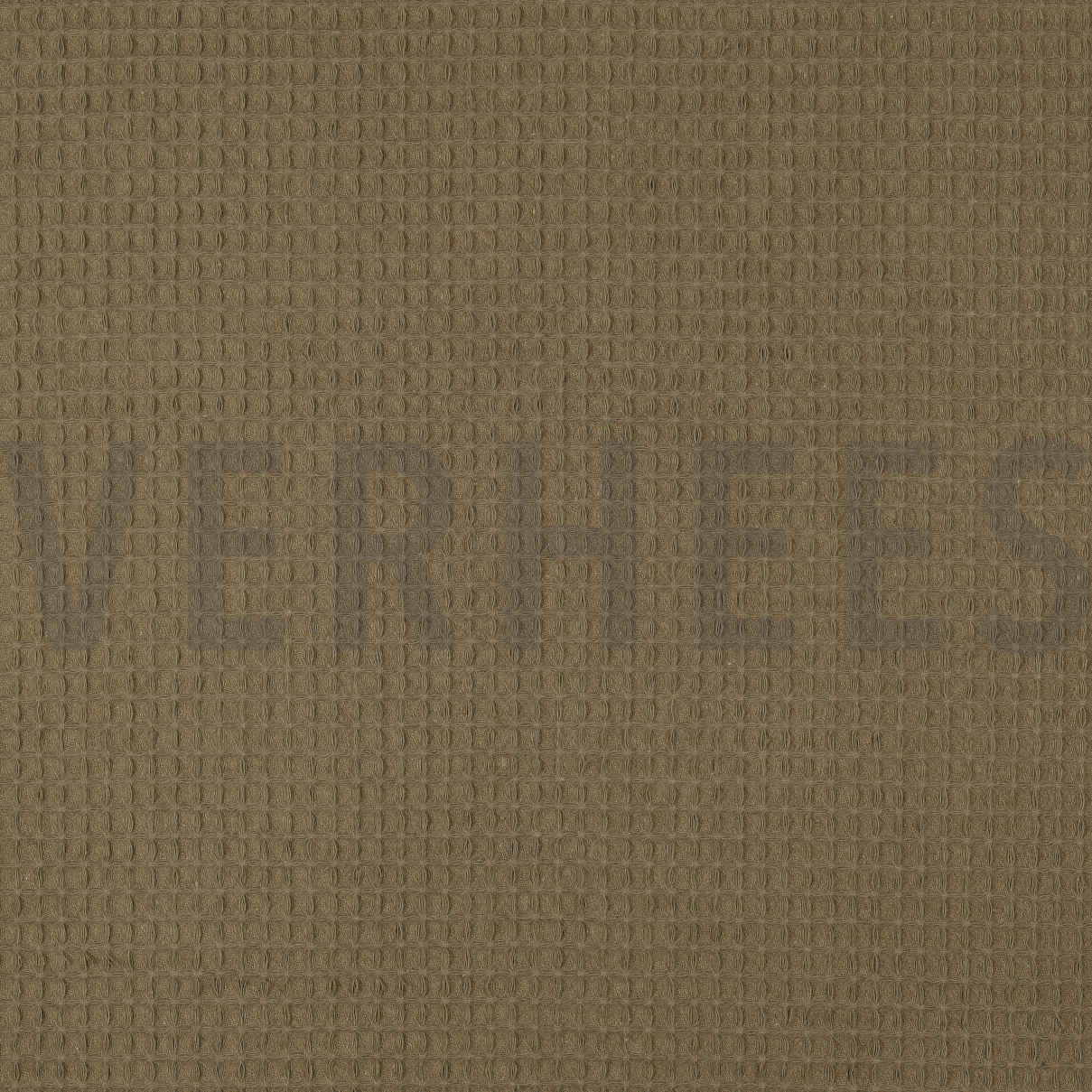 KATOEN WAFEL MOSGROEN (high resolution)