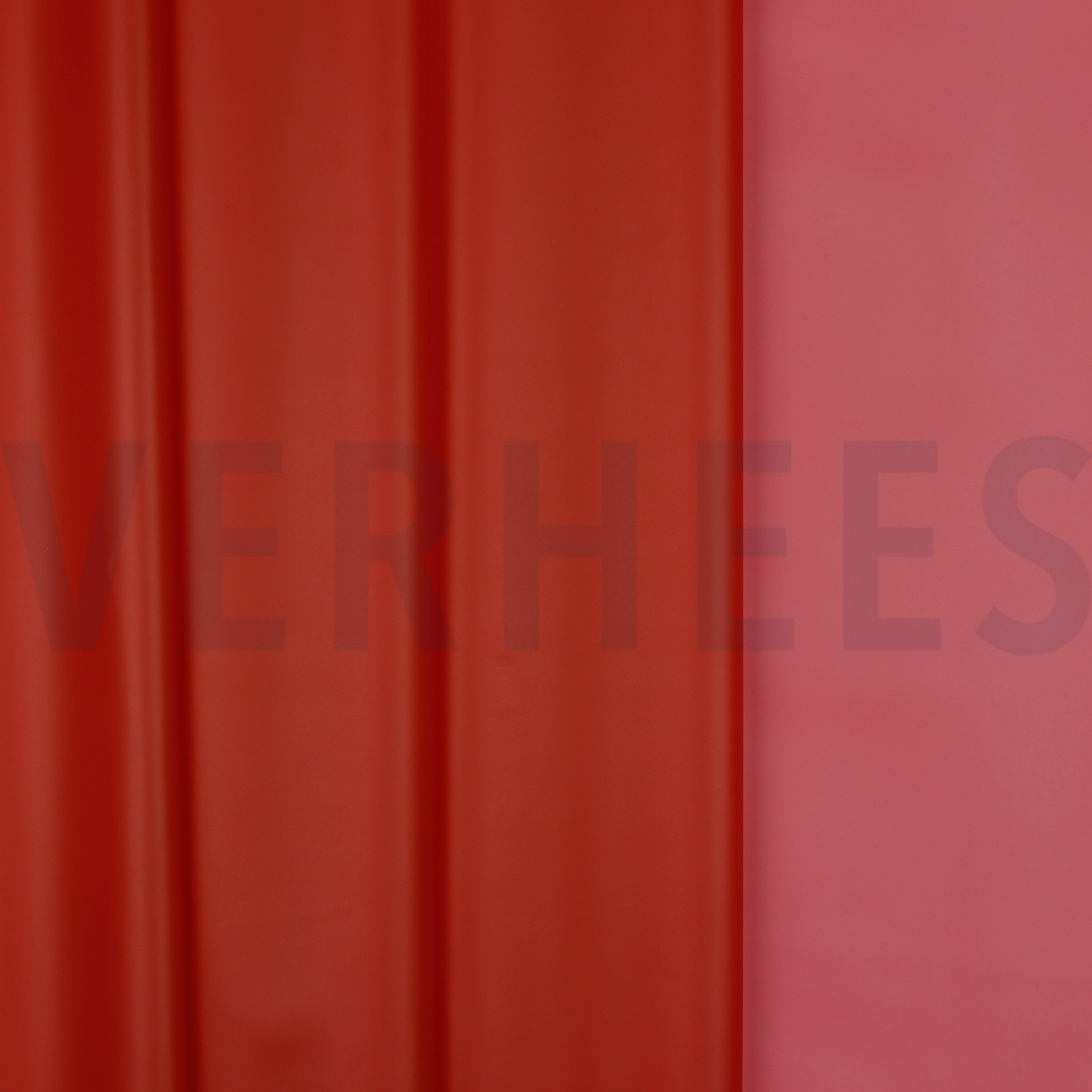 REGENJAS ROZE (high resolution)