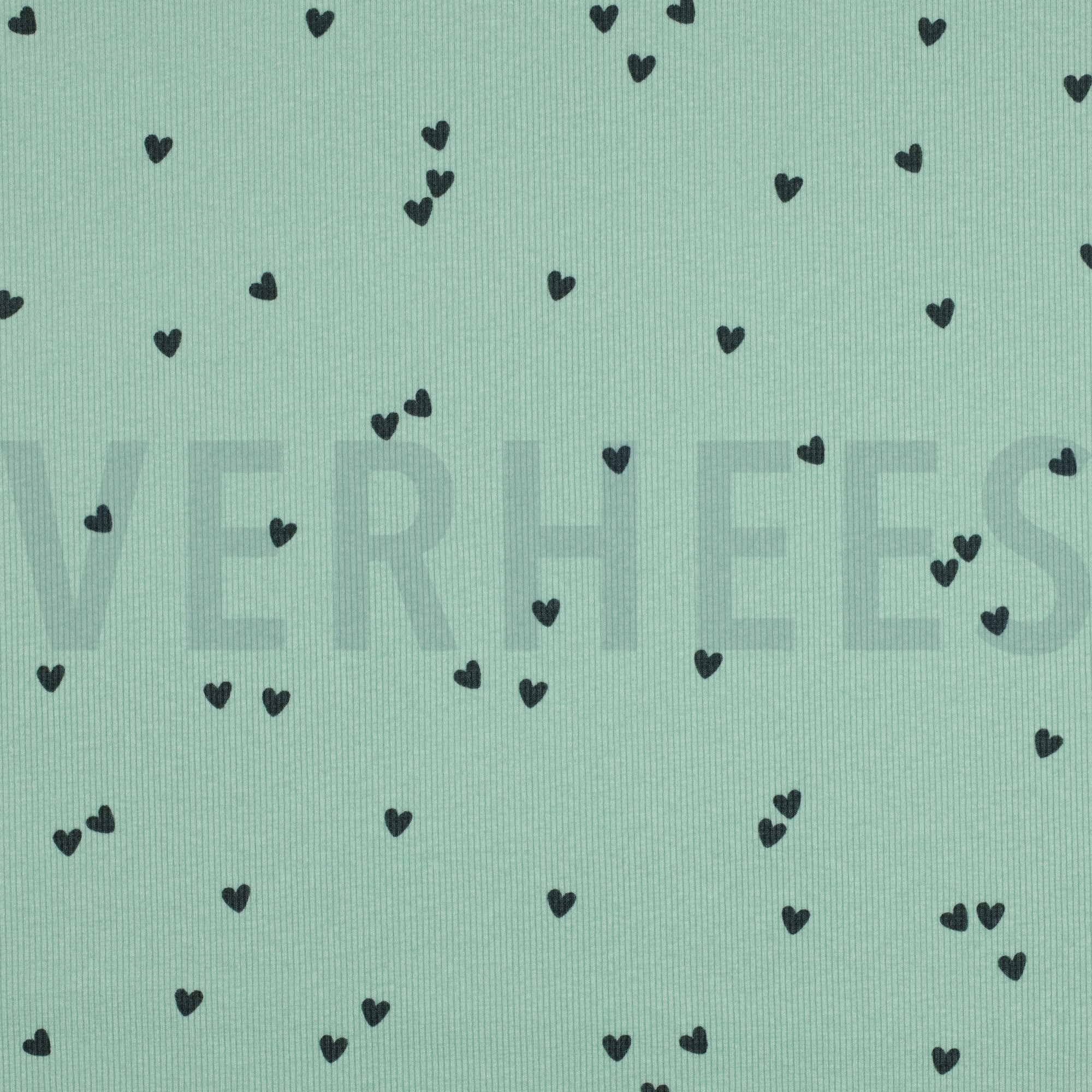 JERSEY CÔTELÉ COEURS SAUGE (high resolution)