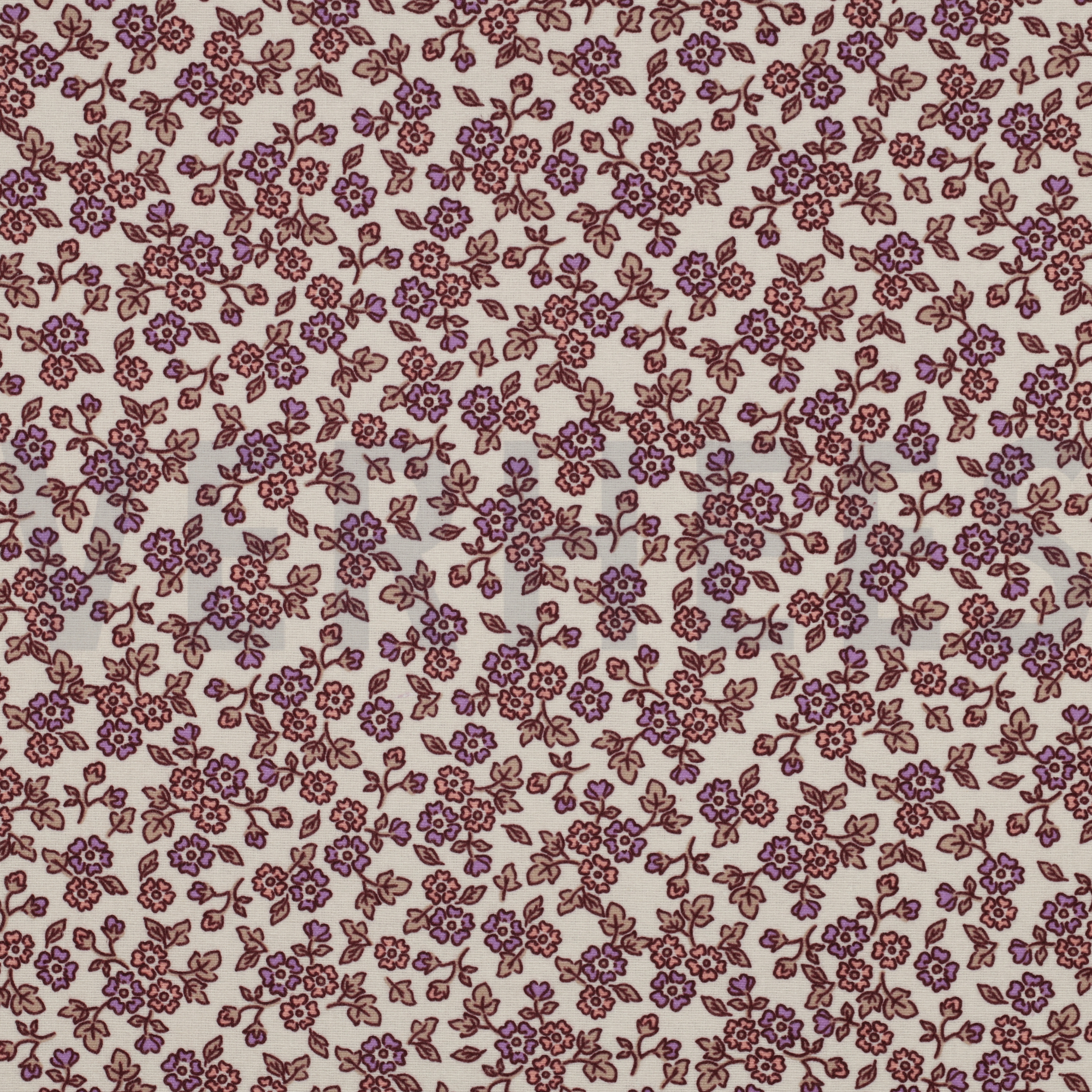 FLANNEL FLOWERS ECRU (high resolution)