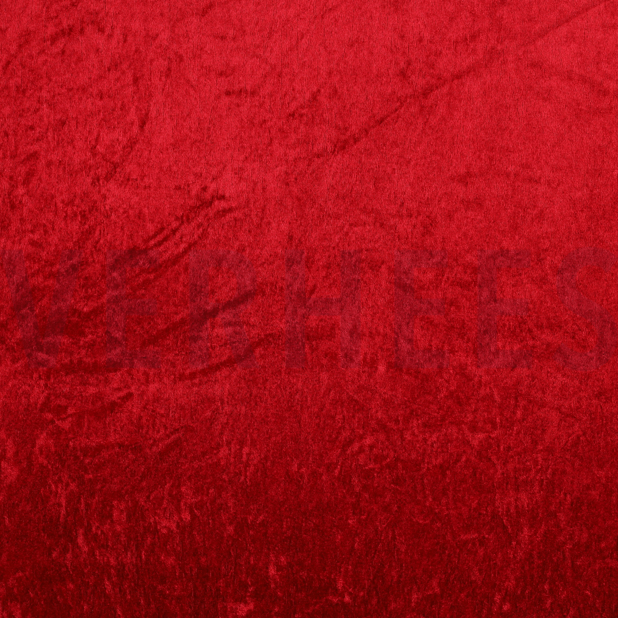 VELOURS DE PANNE WIJNROOD (high resolution)