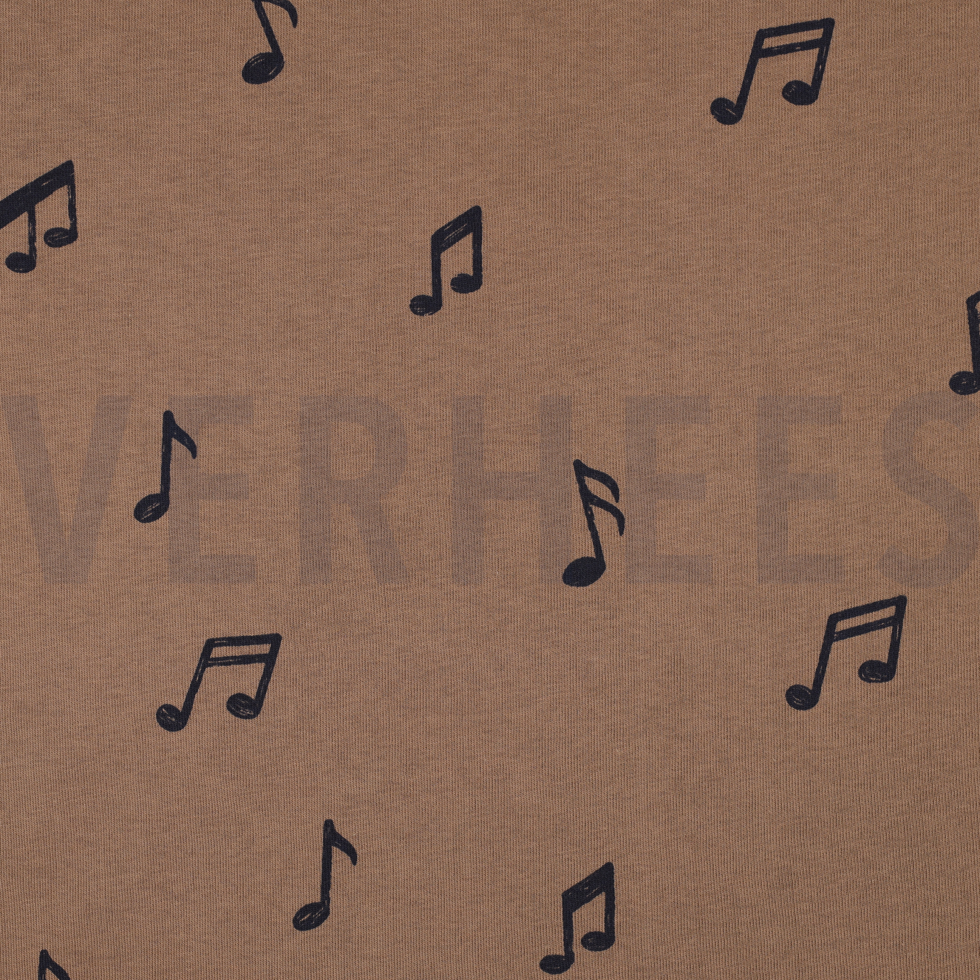 JOGGING MUSIC CAMEL (high resolution)