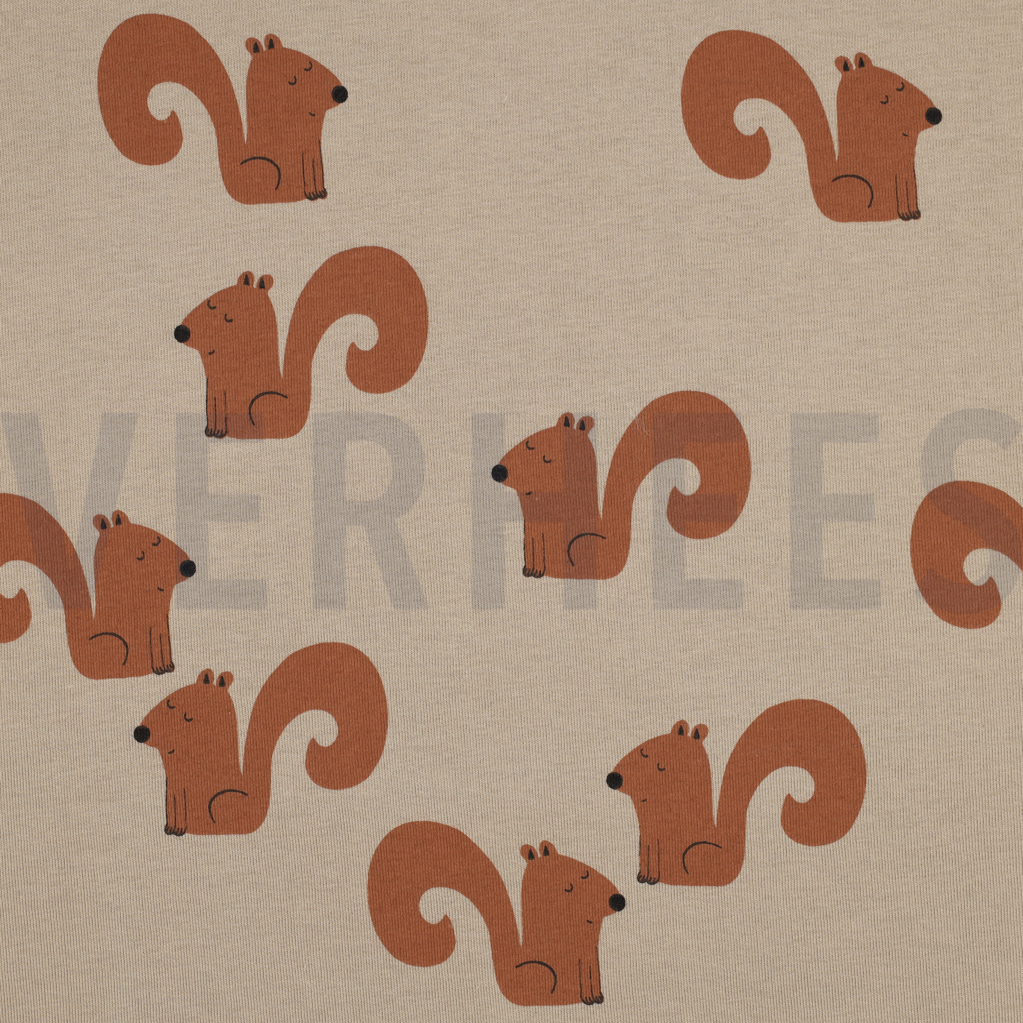 JOGGING SQUIRRELS SAND (high resolution)