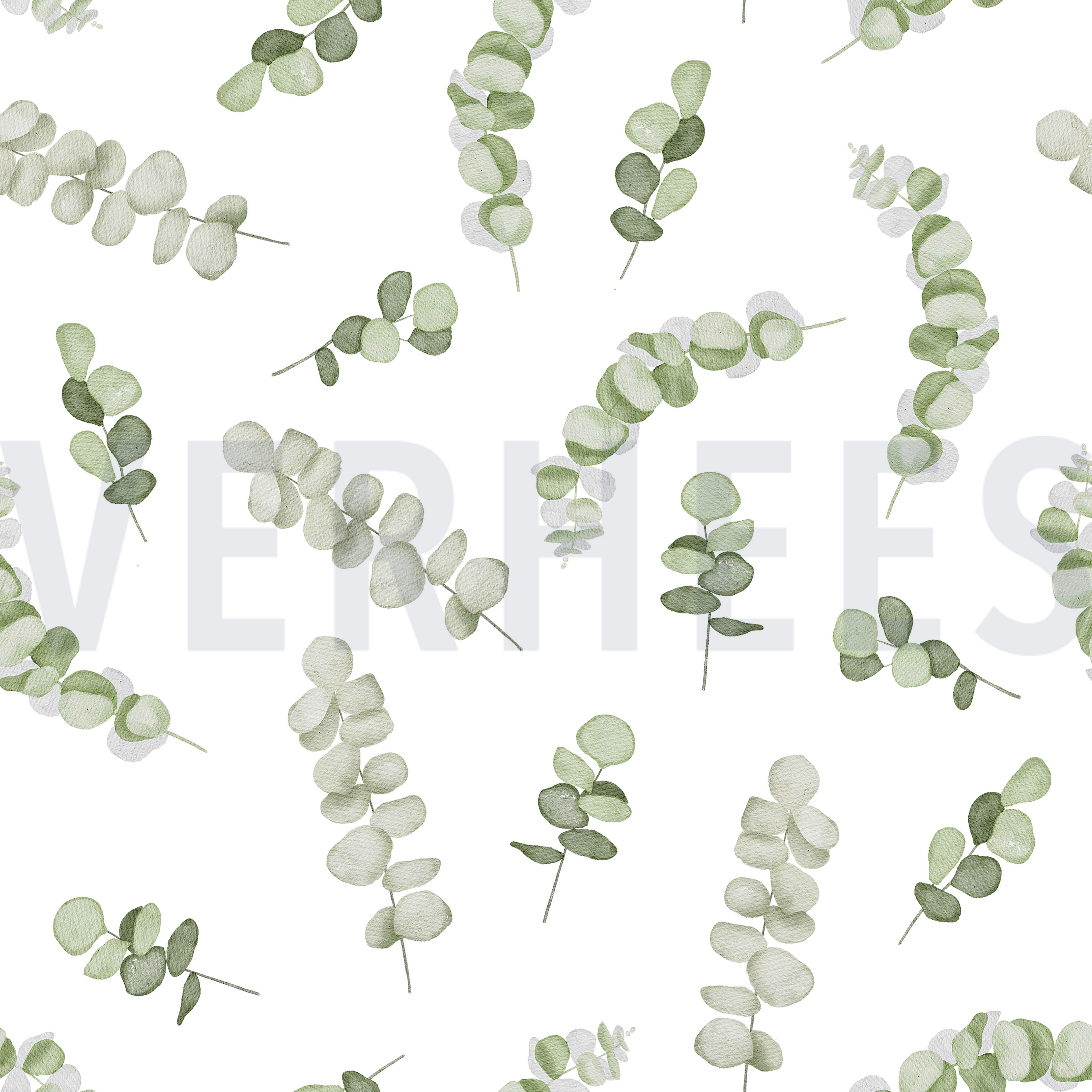 CANVAS DIGITAL EUCALYPTUS WHITE/GREEN (high resolution)