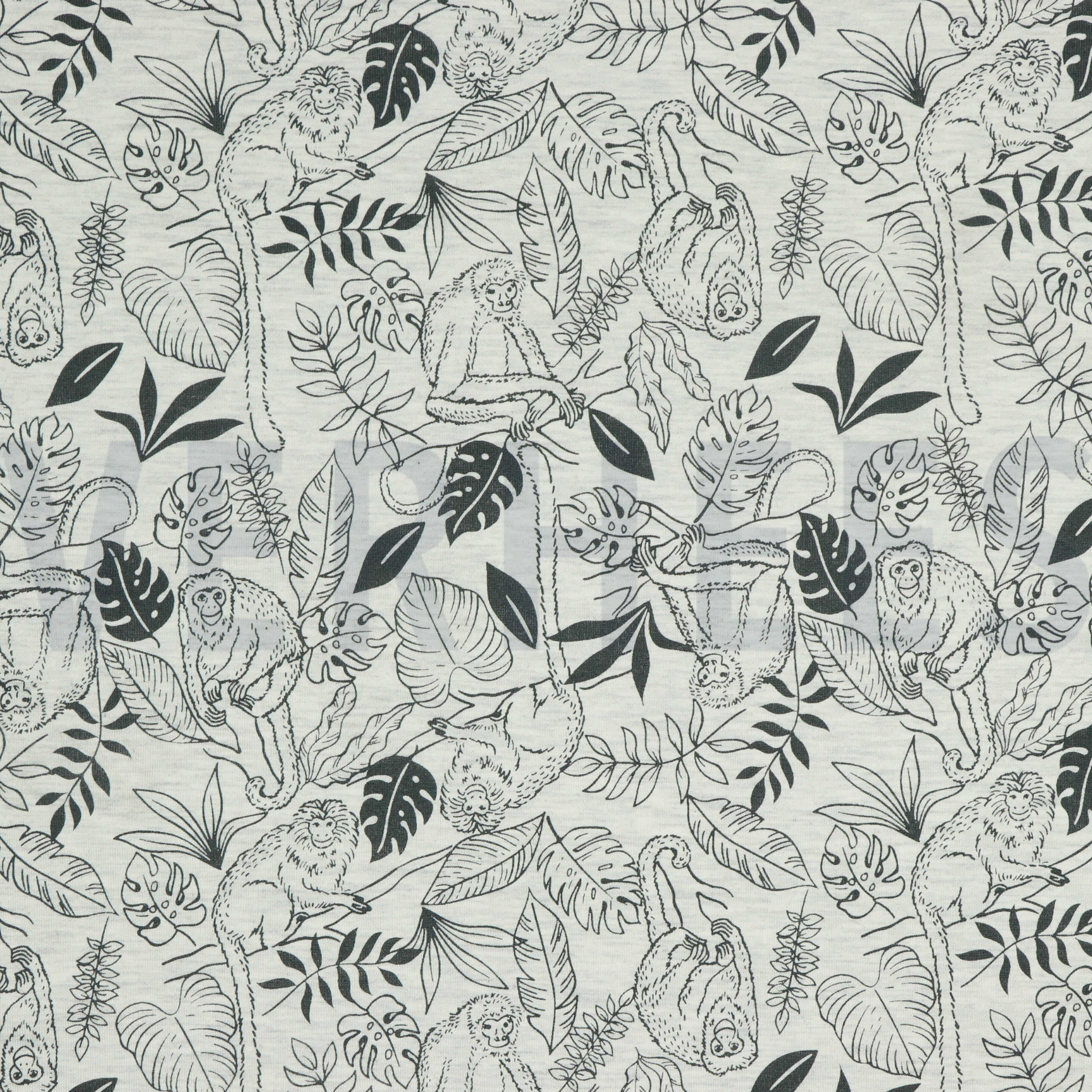 JERSEY MELANGE AFFEN ECRU MELIERT (high resolution)