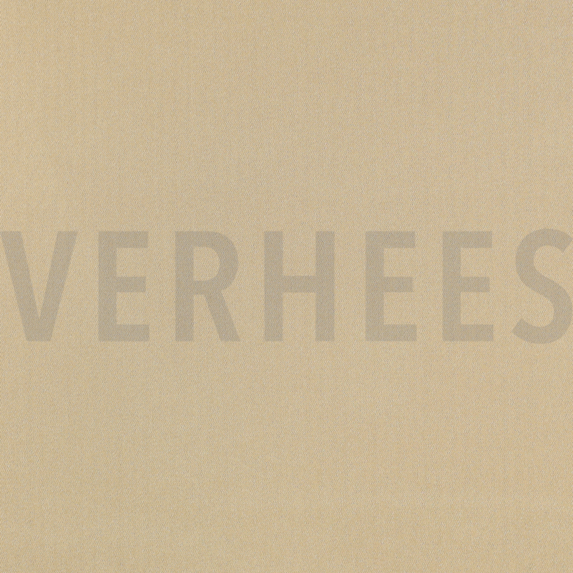 SATIJN CAMEL (high resolution)