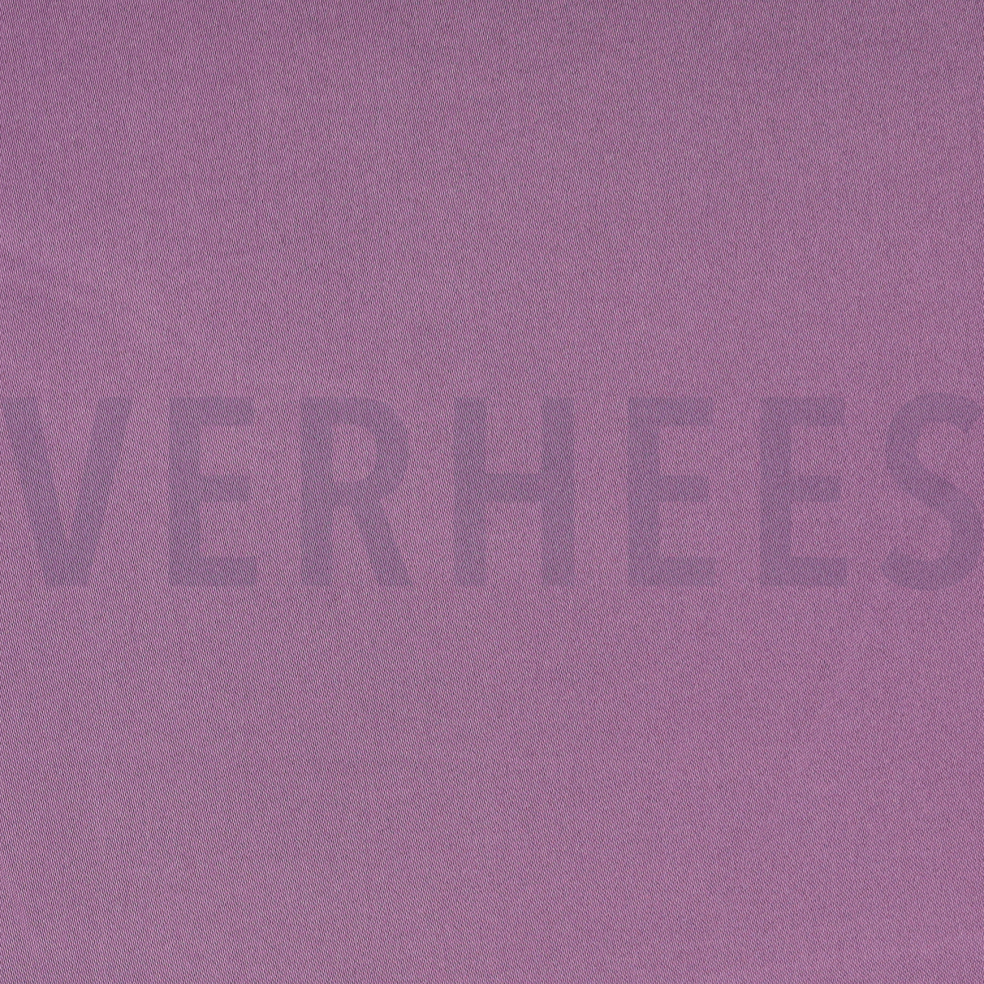 SATIJN DRUIFPAARS (high resolution)