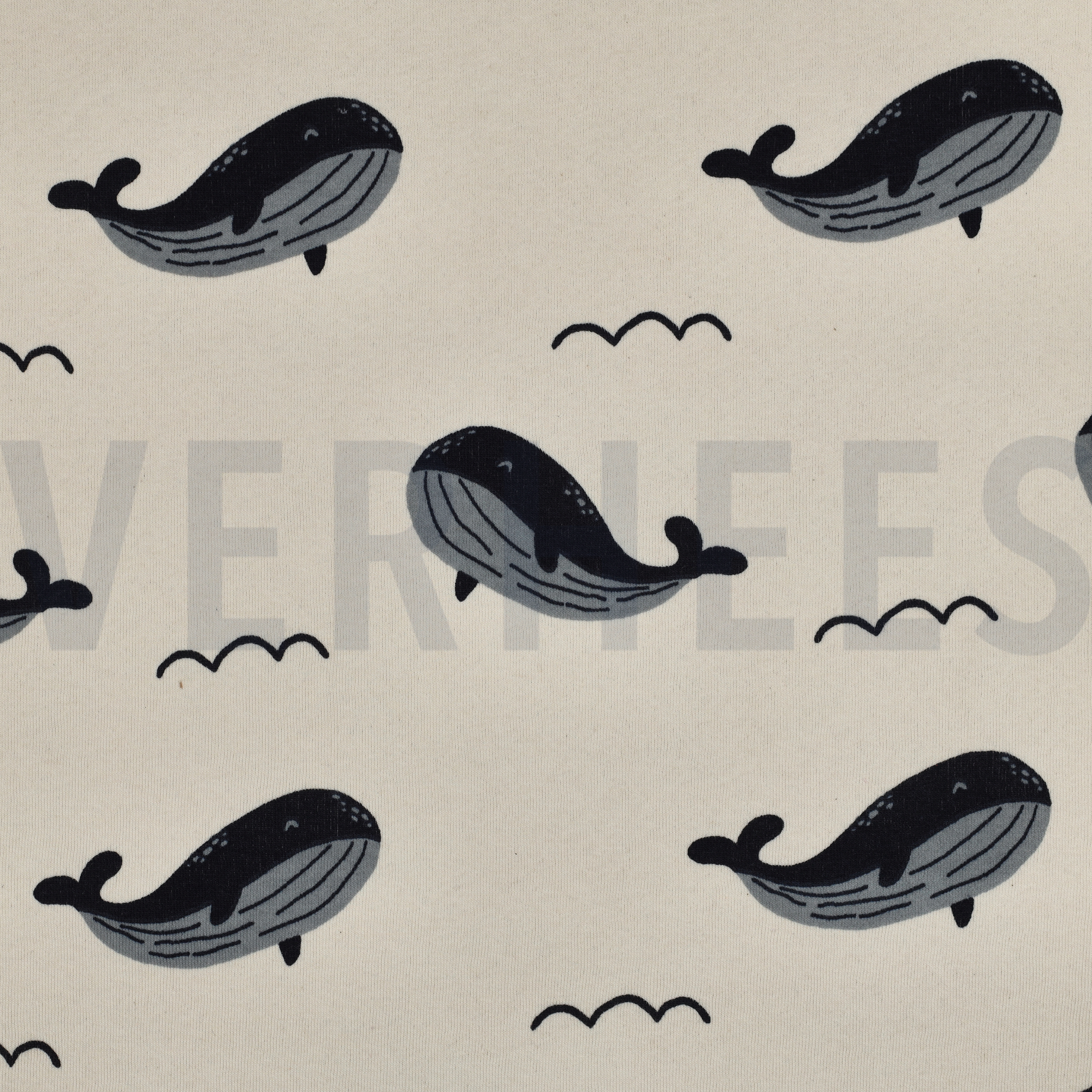 JOGGING BALEINES ÉCRU (high resolution)