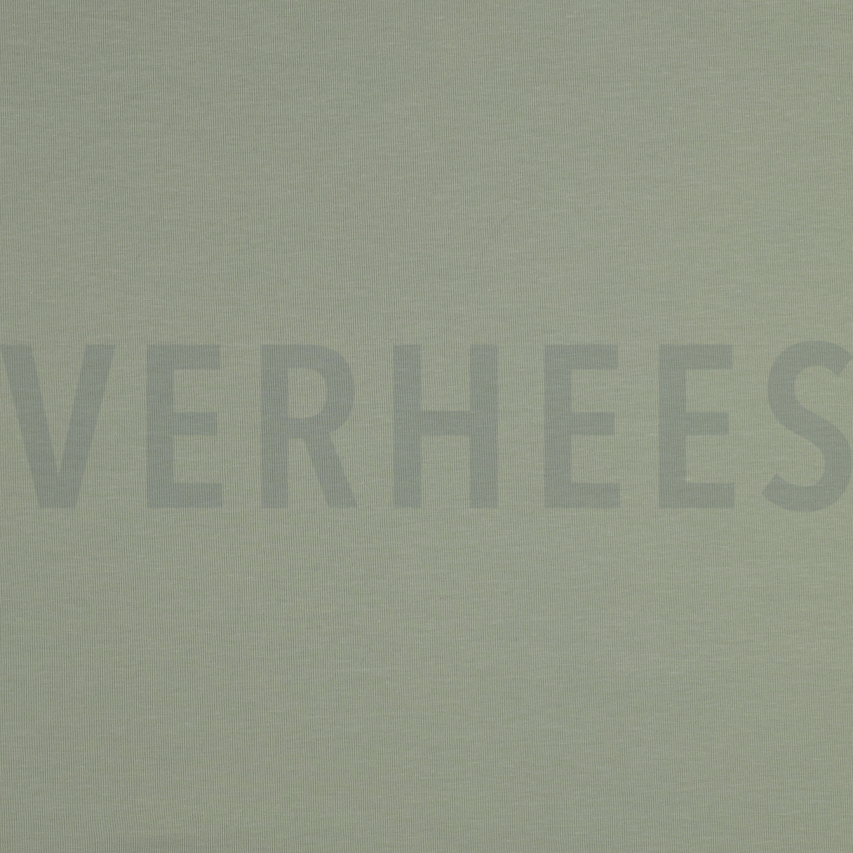 JERSEY GOTS SALIEGROEN (high resolution)