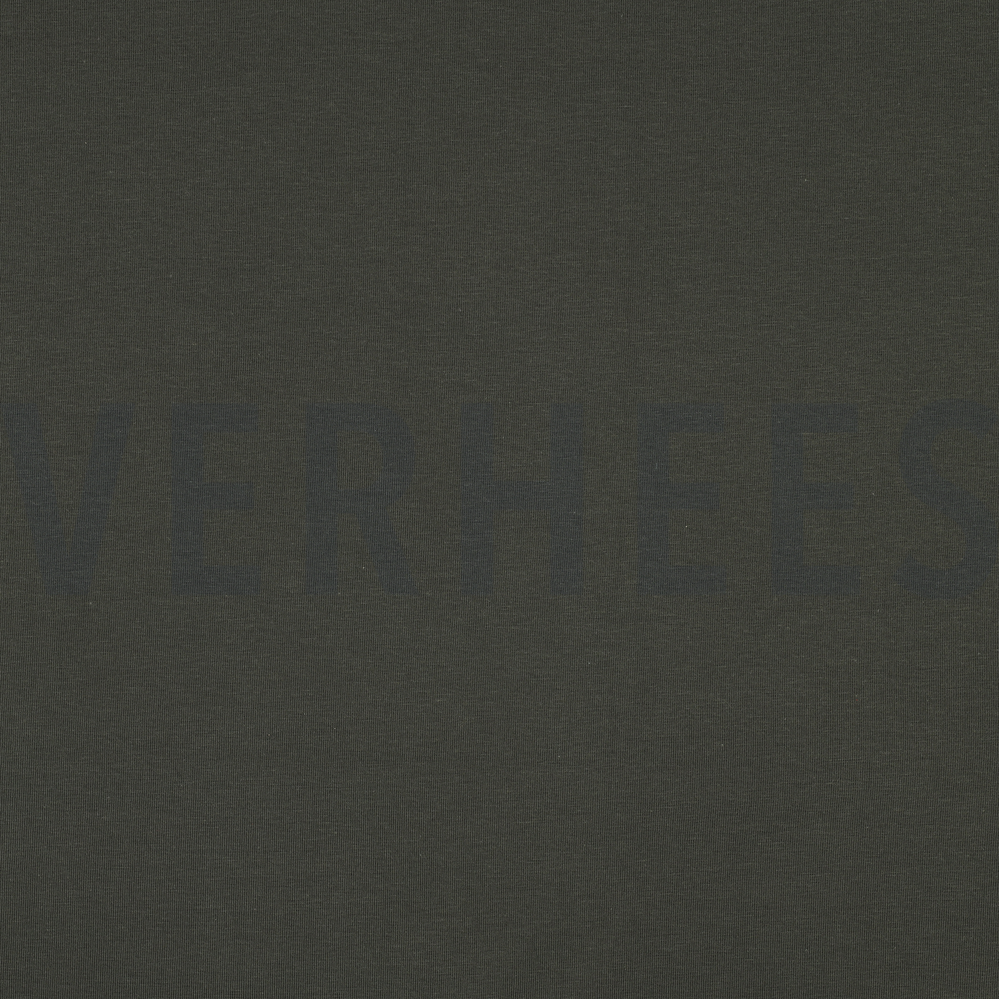 JERSEY GOTS JÄGERGRÜN (high resolution)