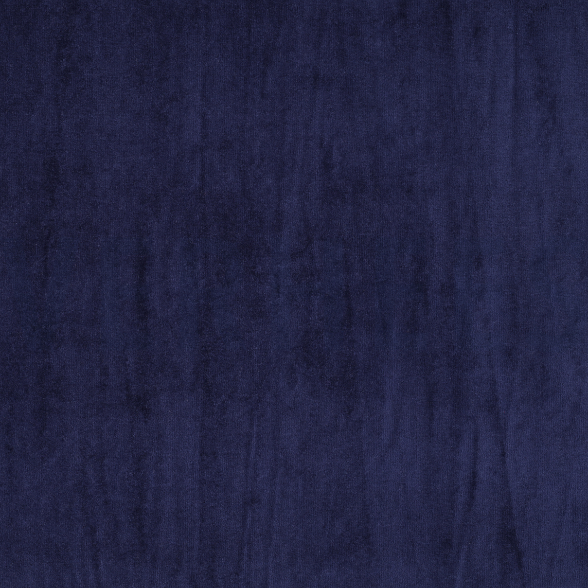 NICKY VELOURS MARINE (high resolution)