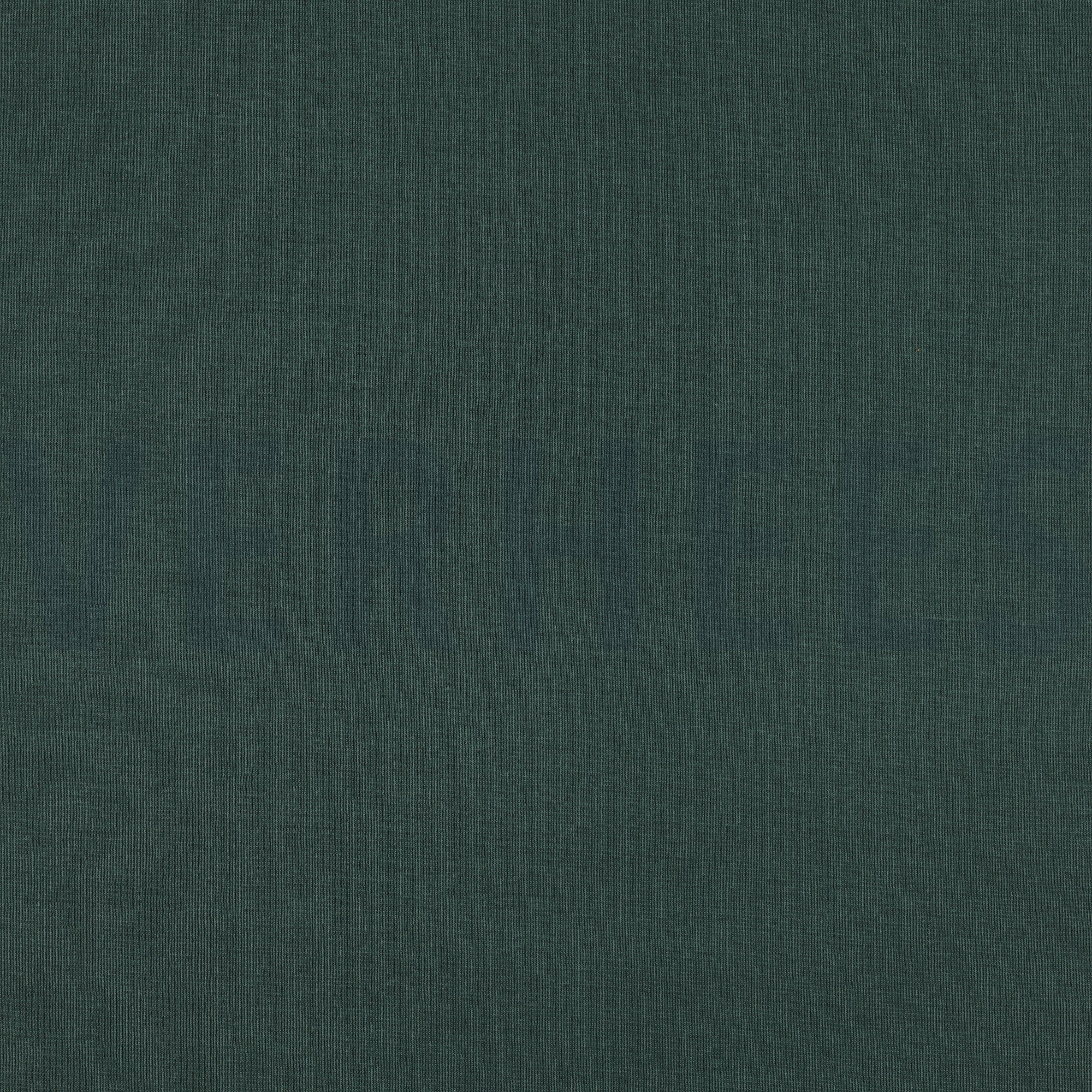 BÜNDCHEN GOTS SALBEI (high resolution)