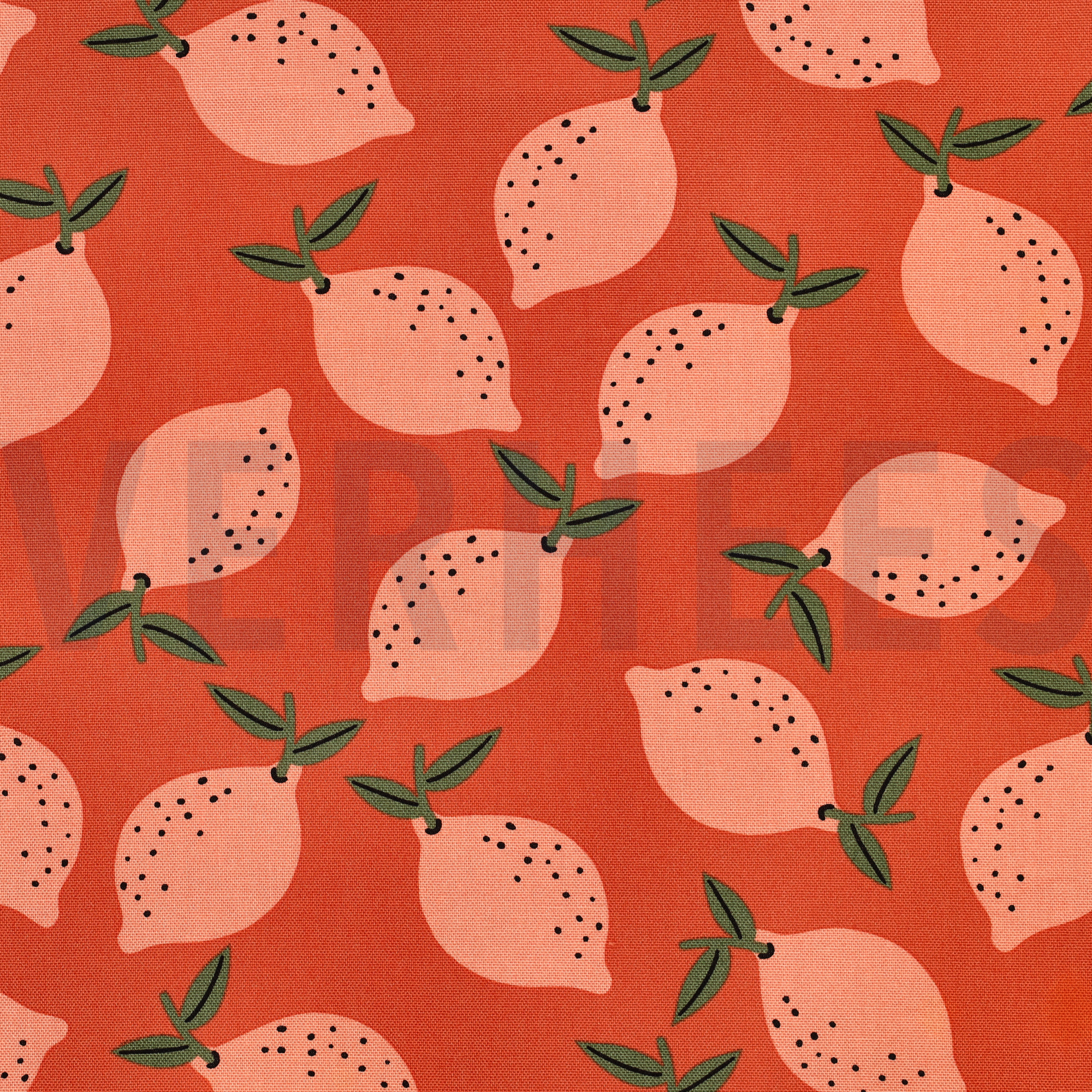 TOILE DÉCORATION FRUIT ORANGE (high resolution)