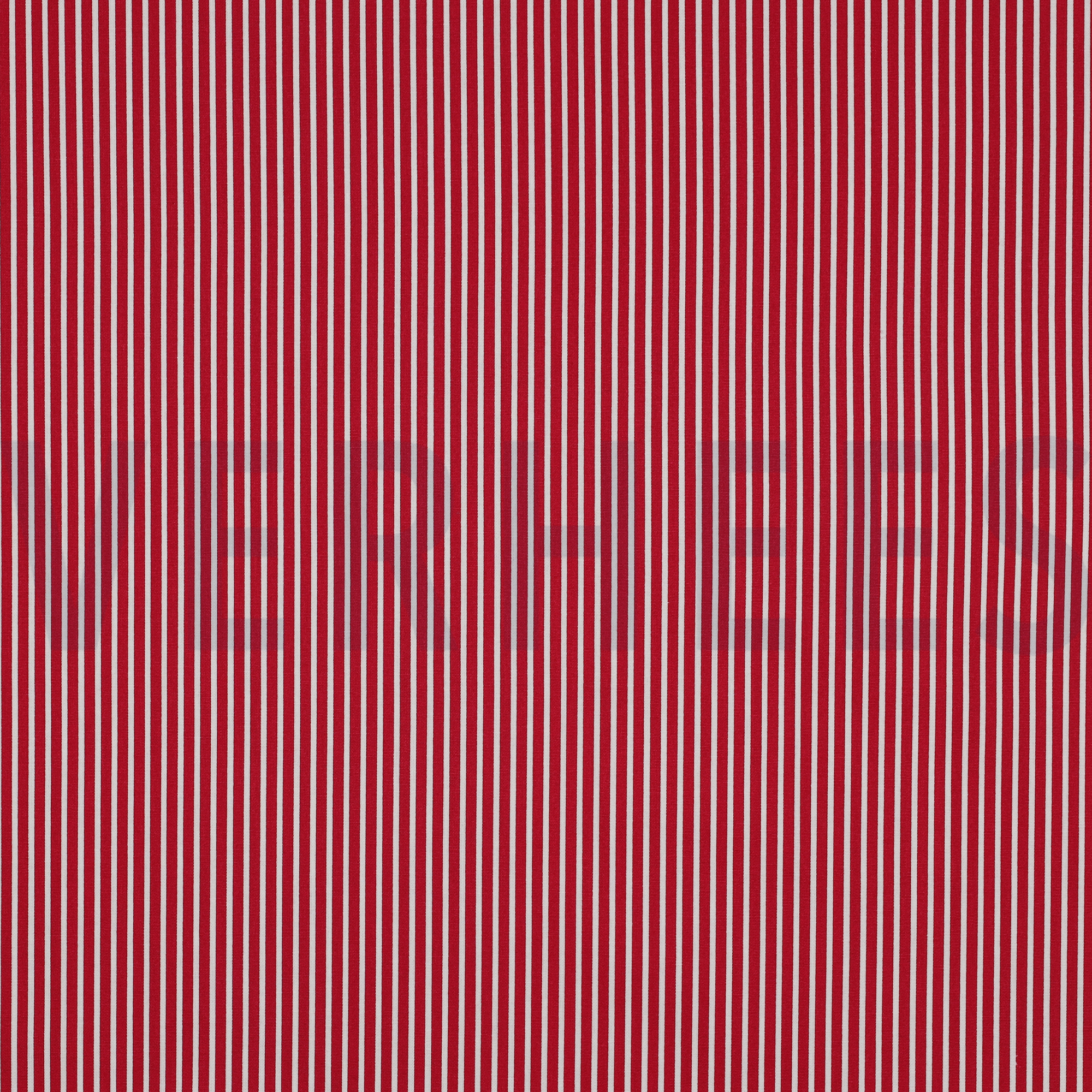 POPLIN STRIPES CERISE (high resolution)