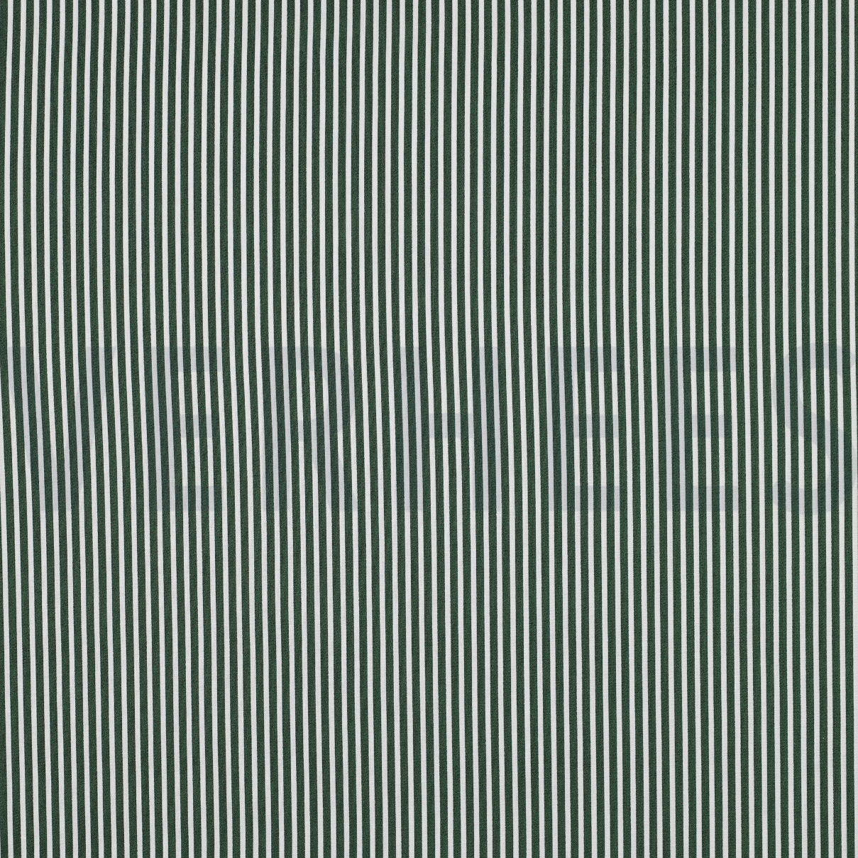 BAUMWOLLE POPELINE STREIFEN DUNKELGRÜN (high resolution)