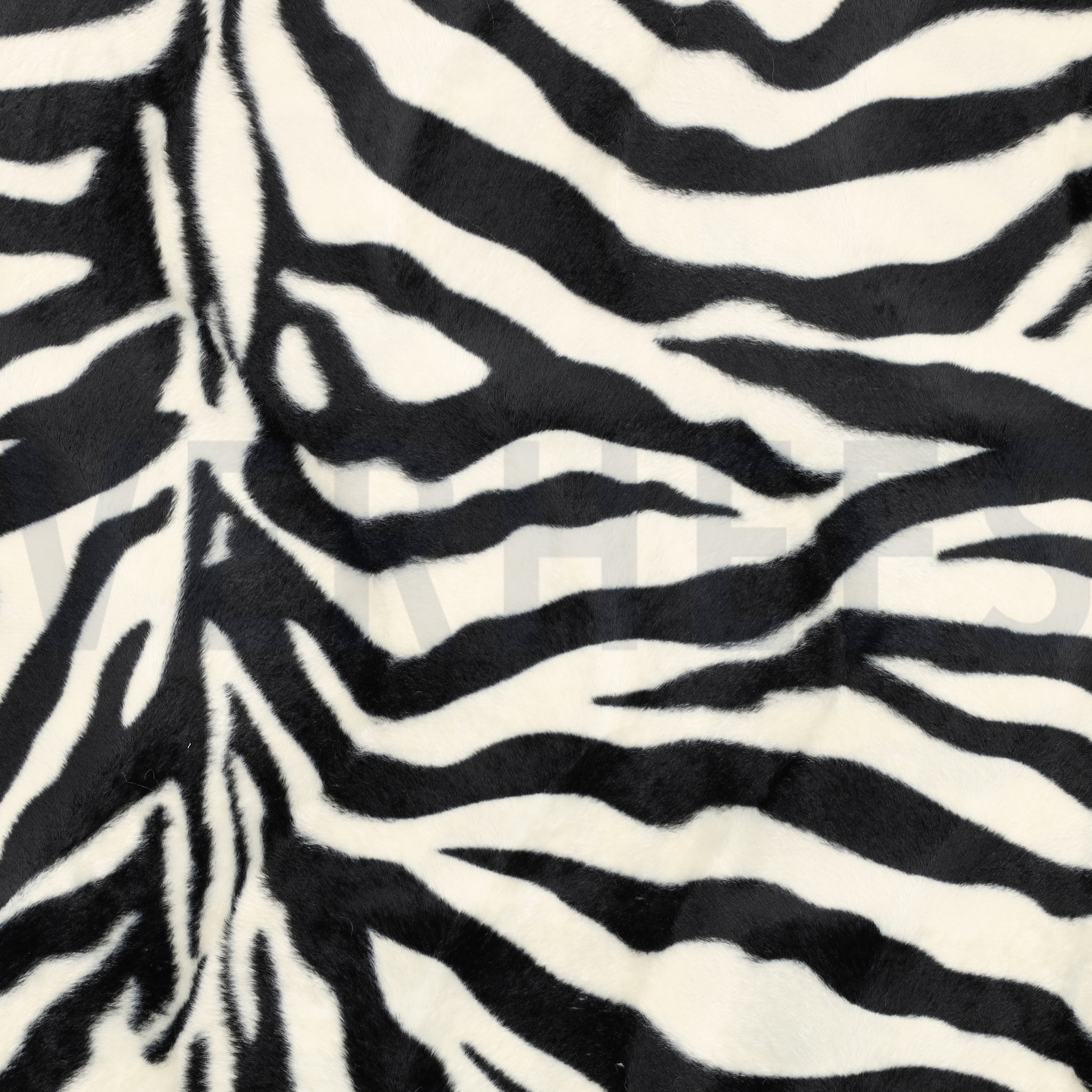 VELBOA ZEBRA ÉCRU/ZWART (high resolution)