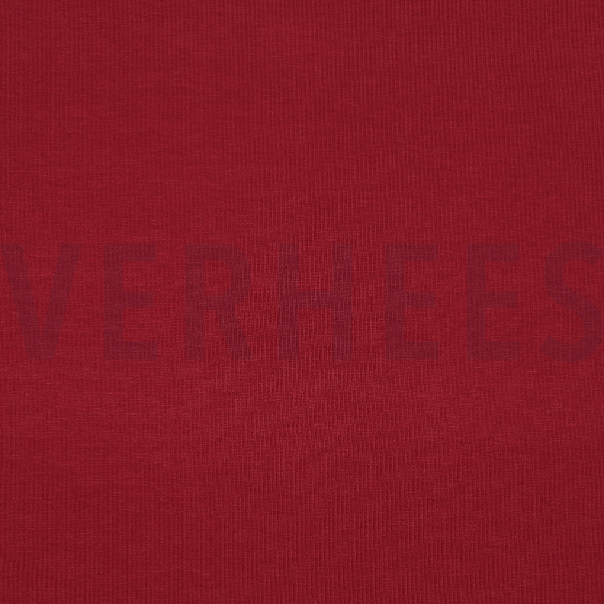 JERSEY BEERE (high resolution)