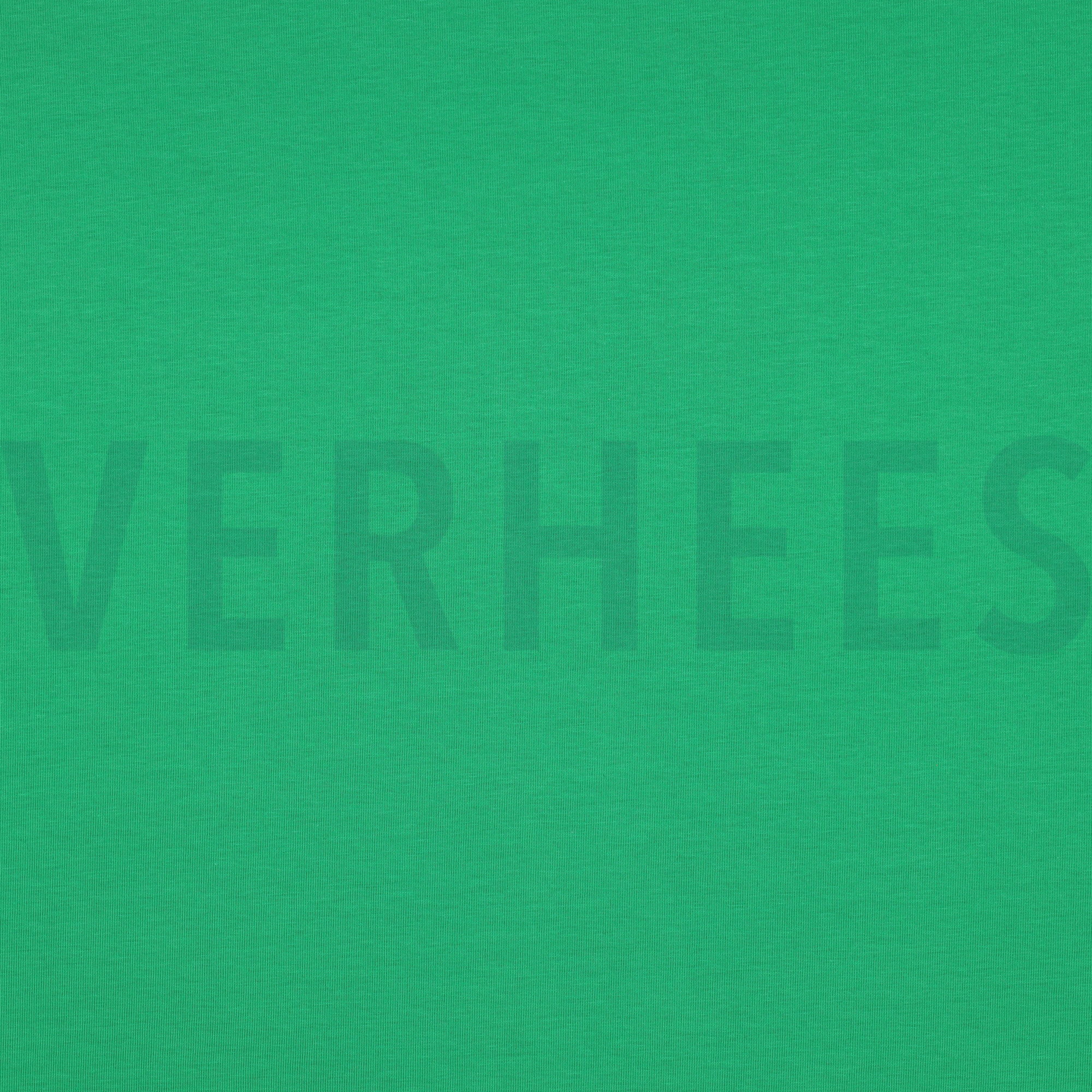 JERSEY APPEL GROEN (high resolution)