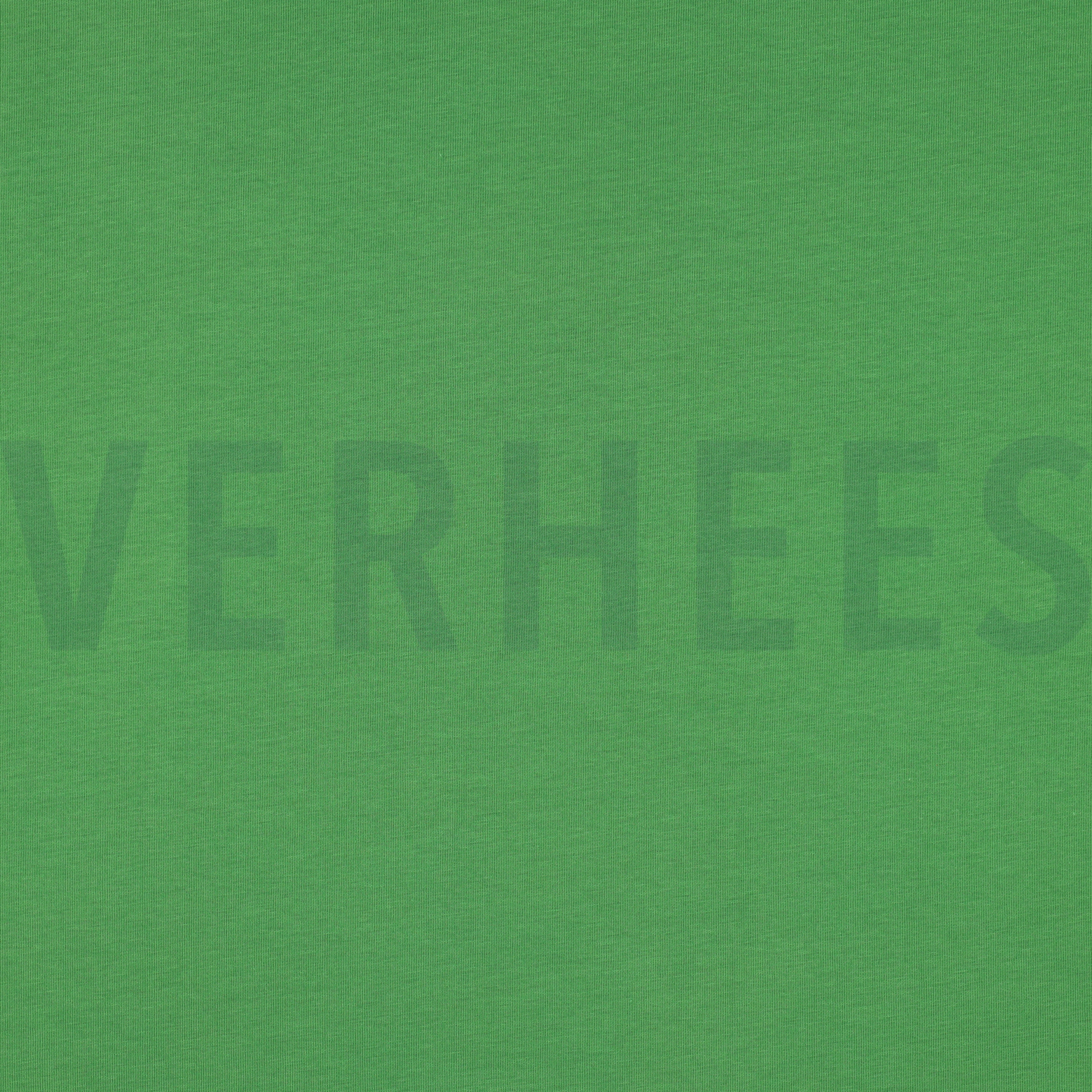 JERSEY GRÜN (high resolution)