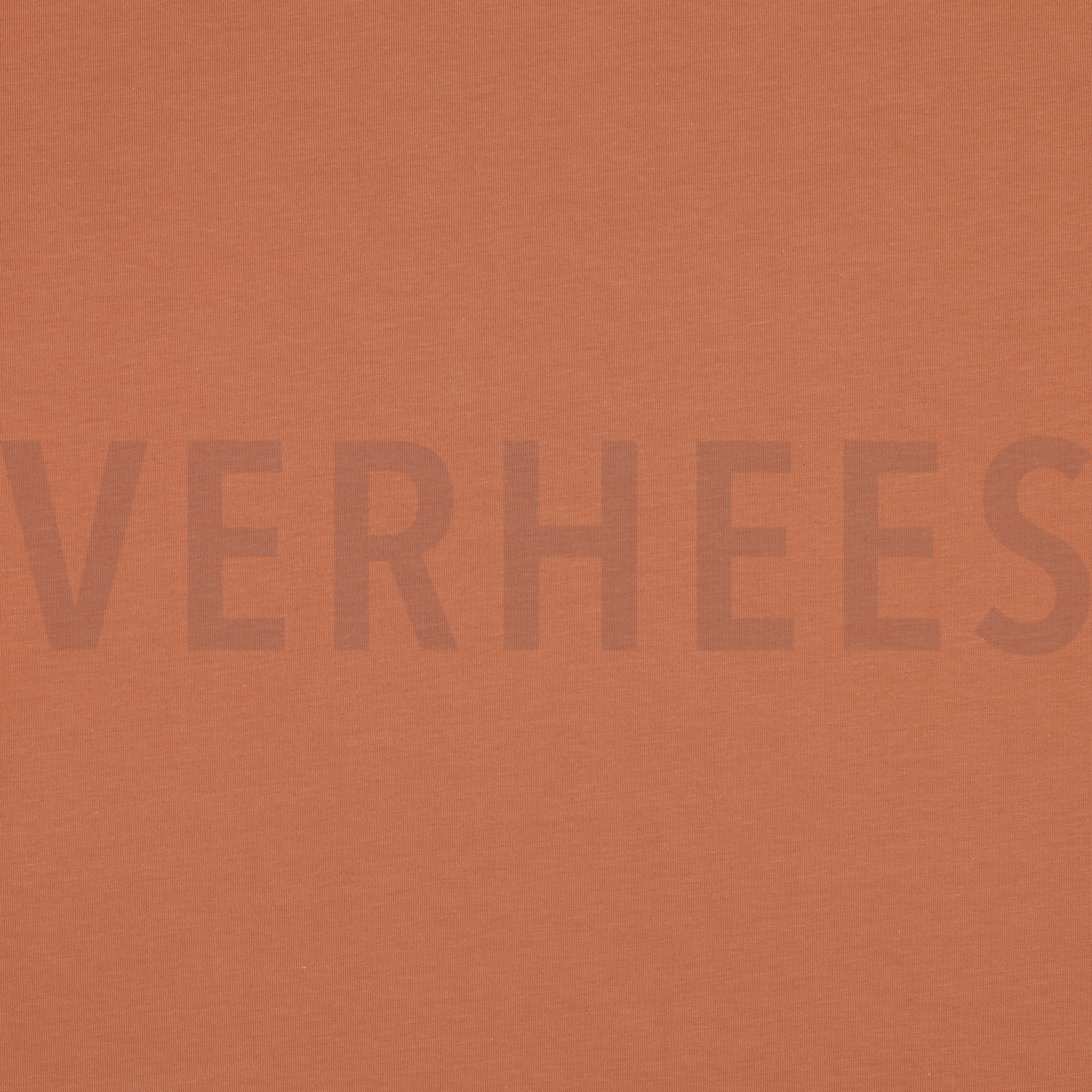 JERSEY LACHS (high resolution)