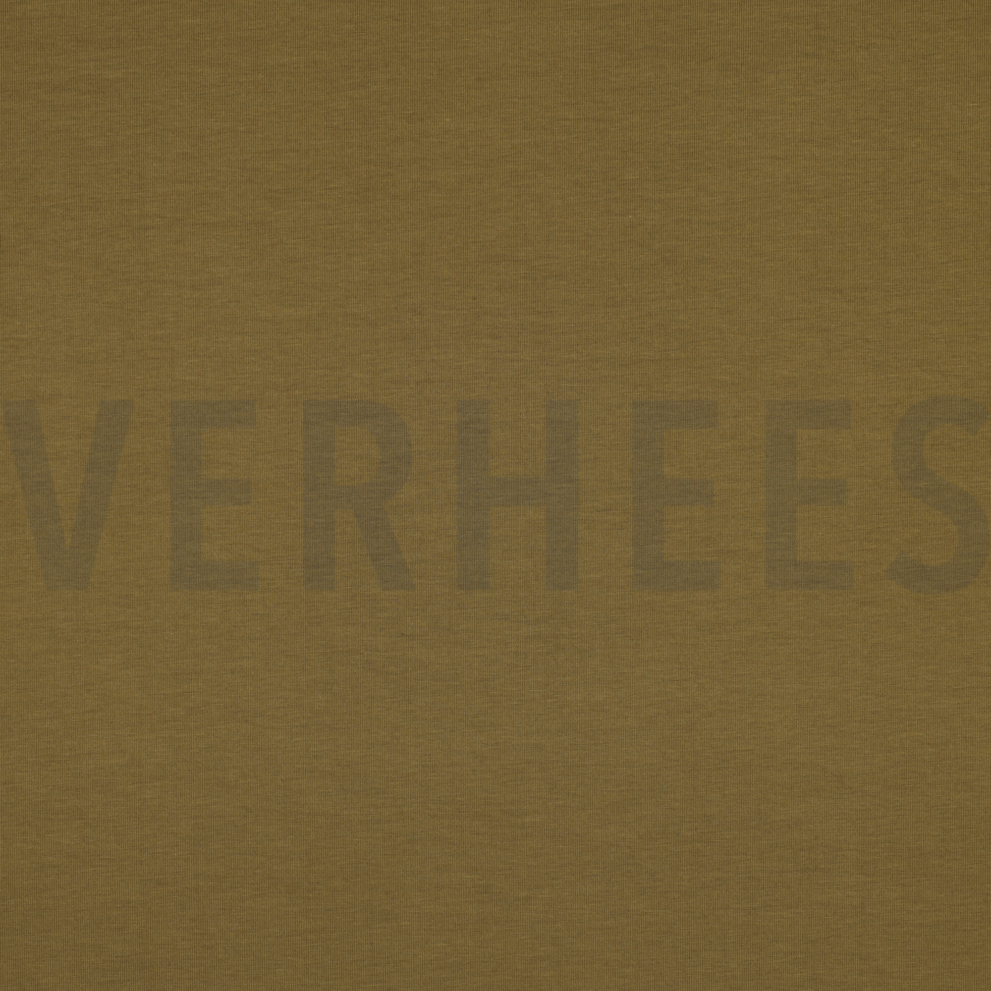 JERSEY AUGURK (high resolution)