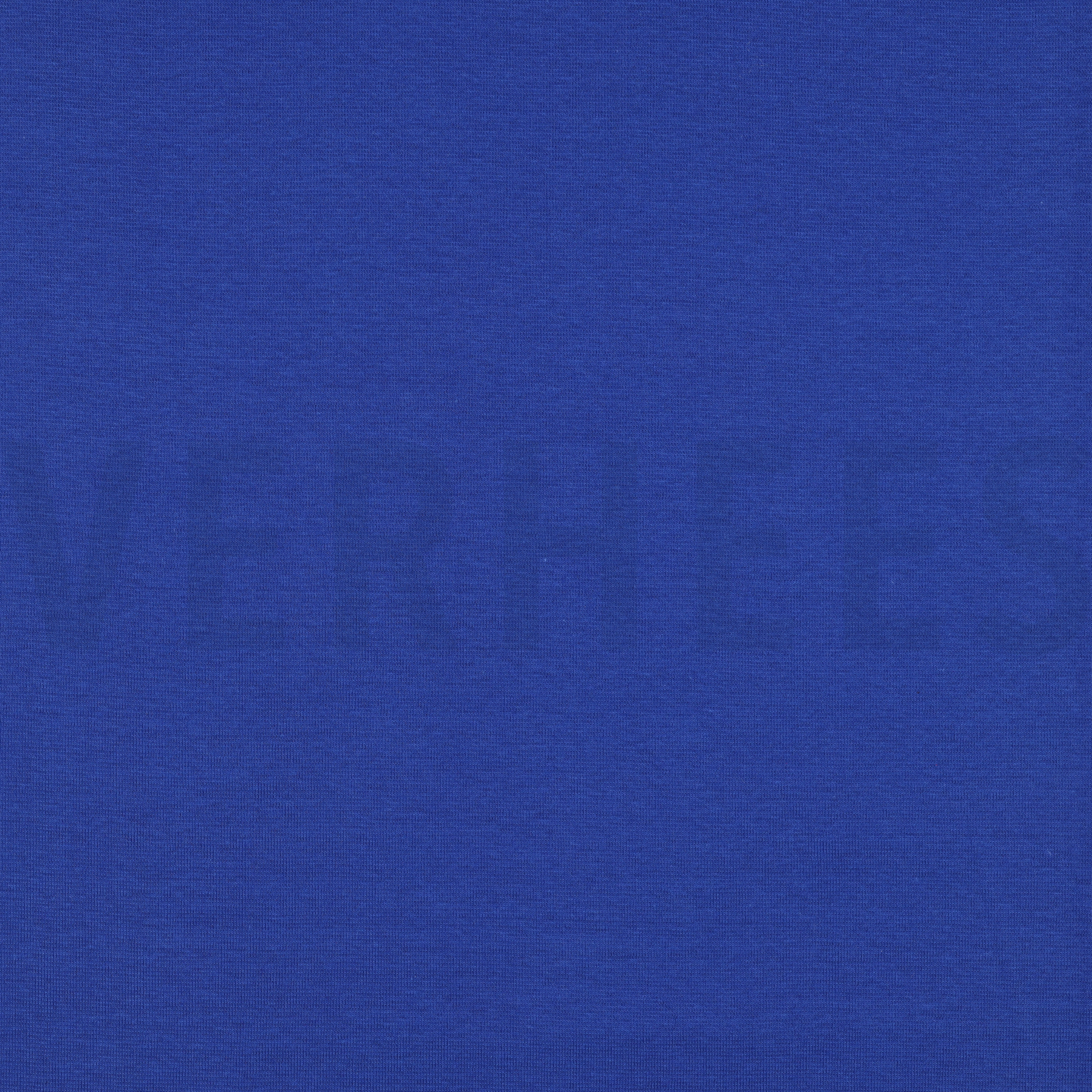 BÜNDCHEN KOBALTBLAU (high resolution)