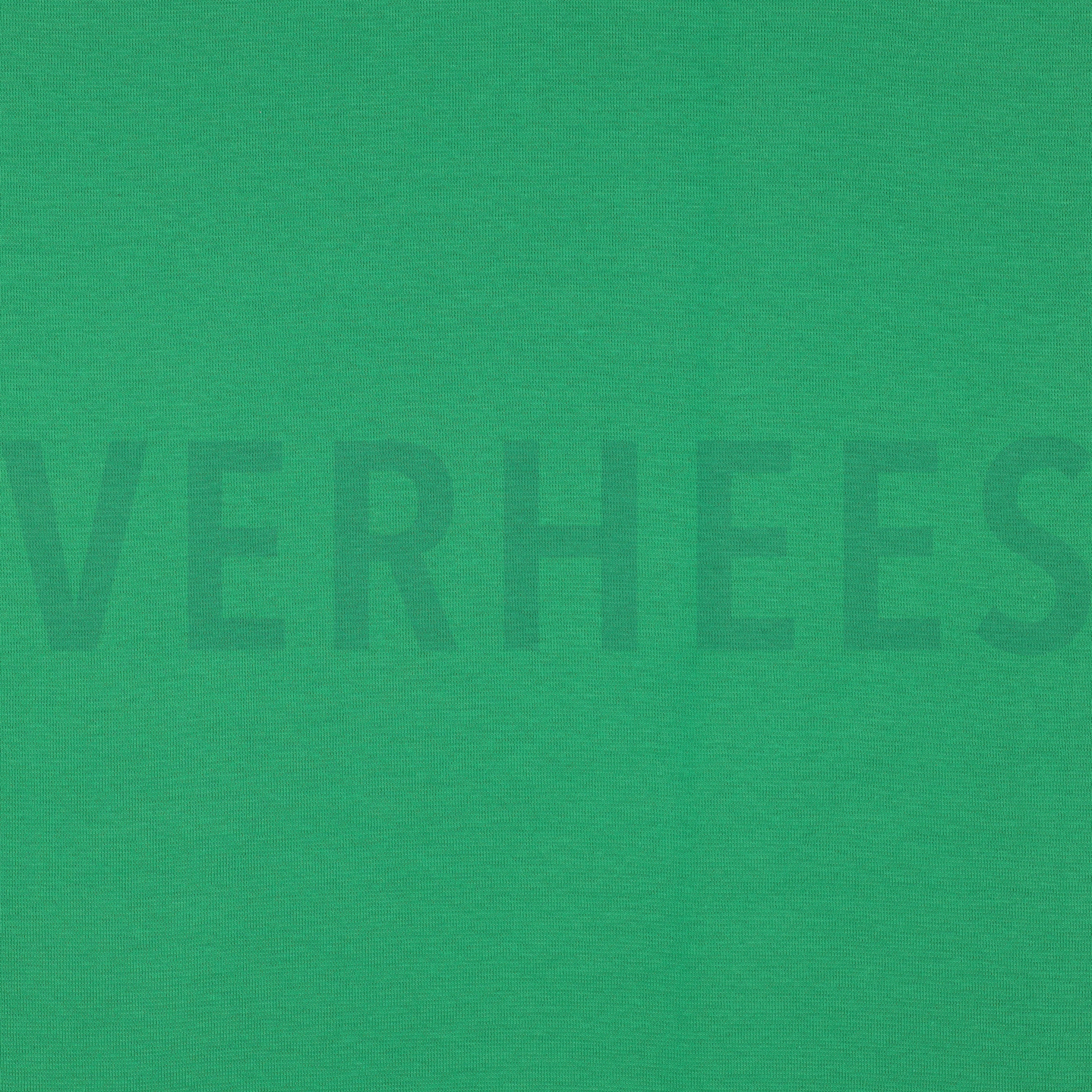 BÜNDCHEN APFELGRÜN (high resolution)