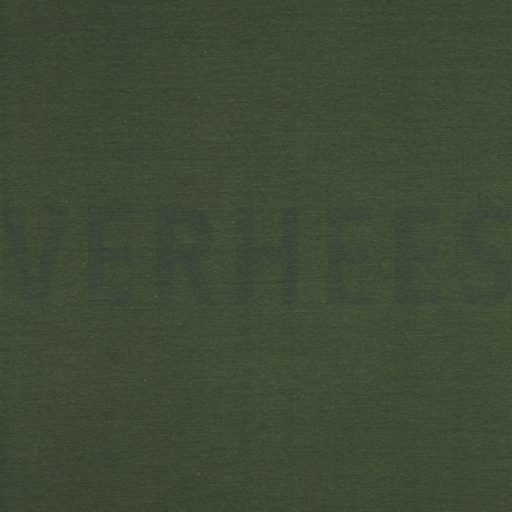 BÜNDCHEN WALDGRÜN (high resolution)