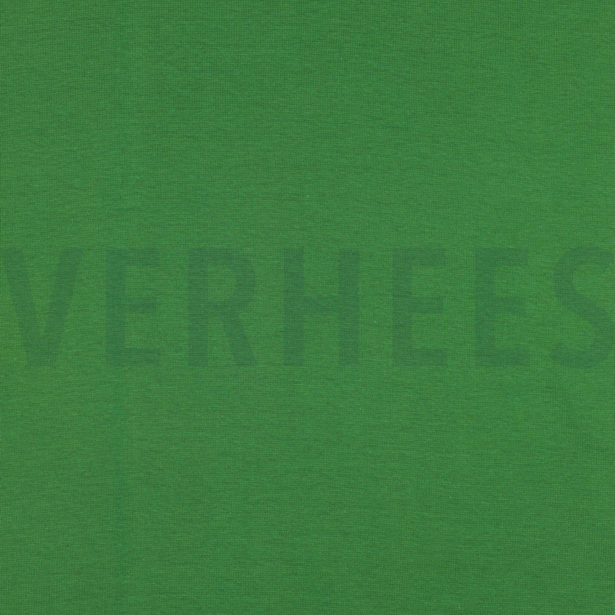 BÜNDCHEN GRÜN (high resolution)