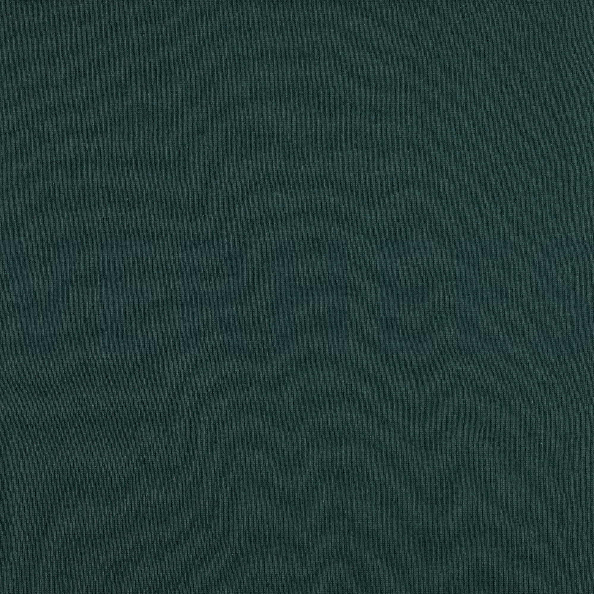 BÜNDCHEN DUNKELGRÜN (high resolution)