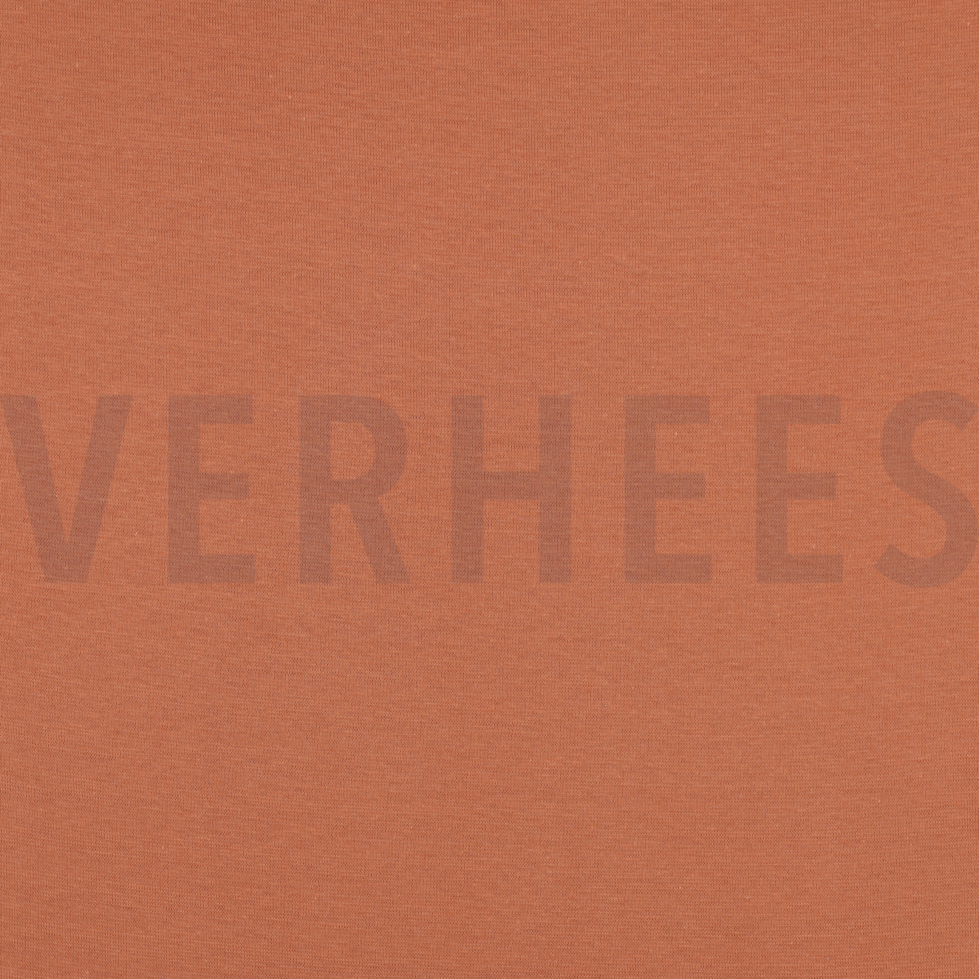 BÜNDCHEN LACHS (high resolution)