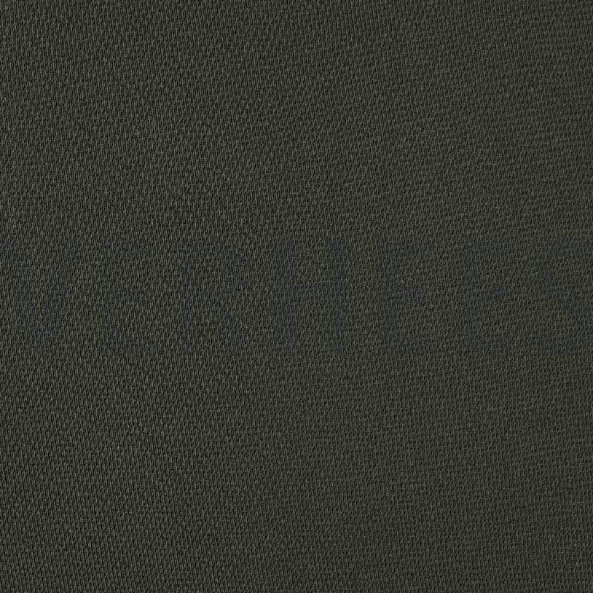 FRENCH TERRY GOTS VERT CHASSE (high resolution)