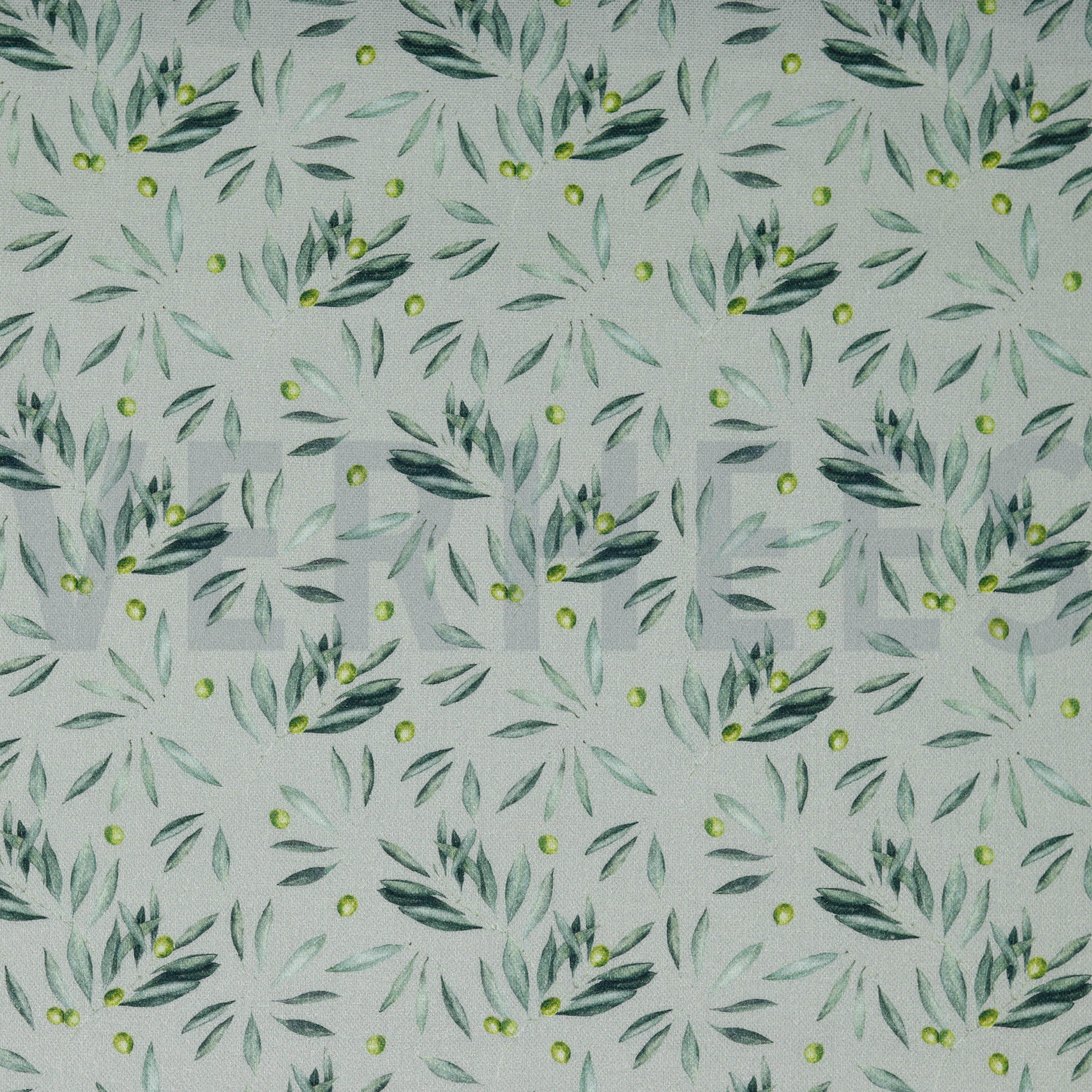 CANVAS DIGITAL OLIVEN HELLGRAU (high resolution)