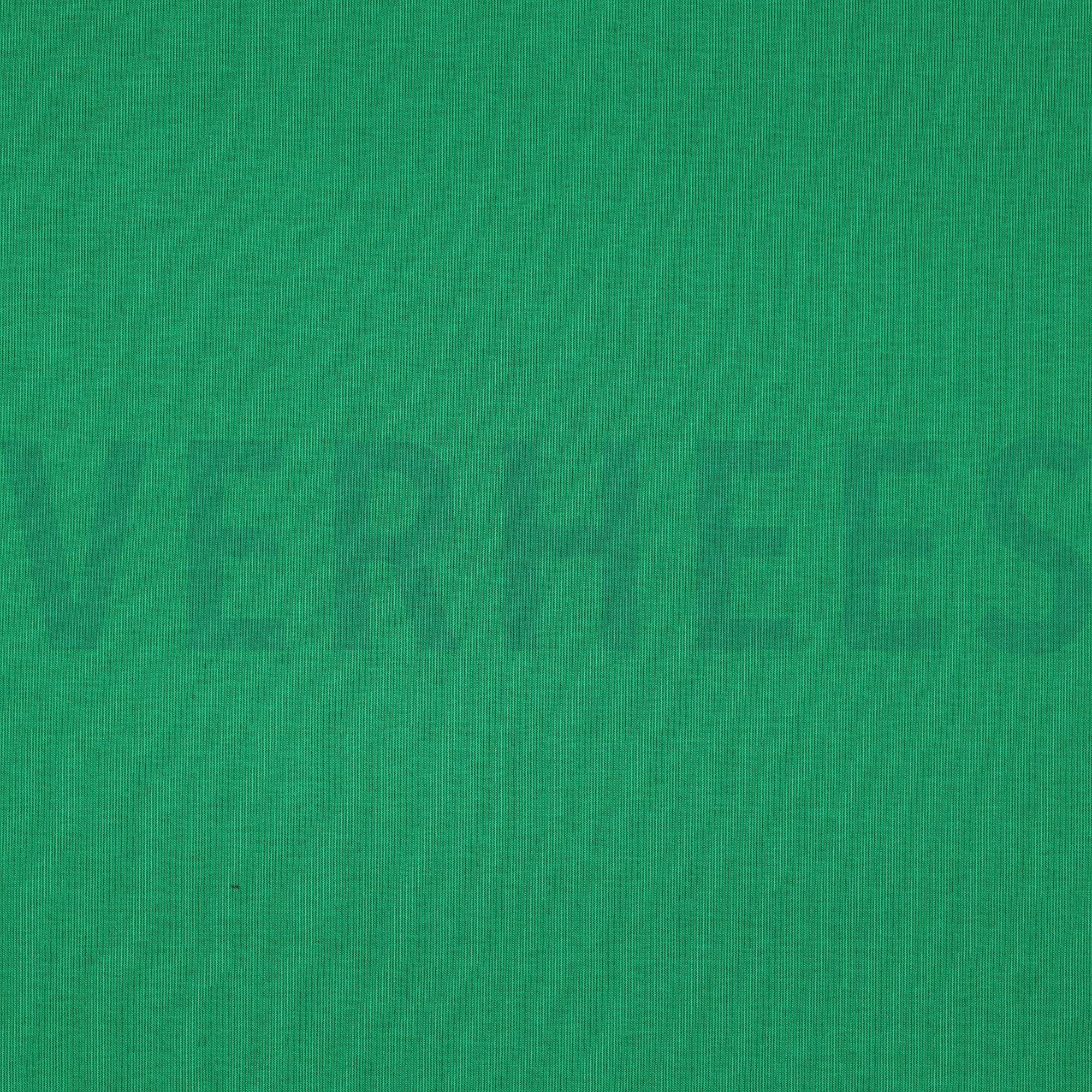 JOGGING APFELGRÜN (high resolution)