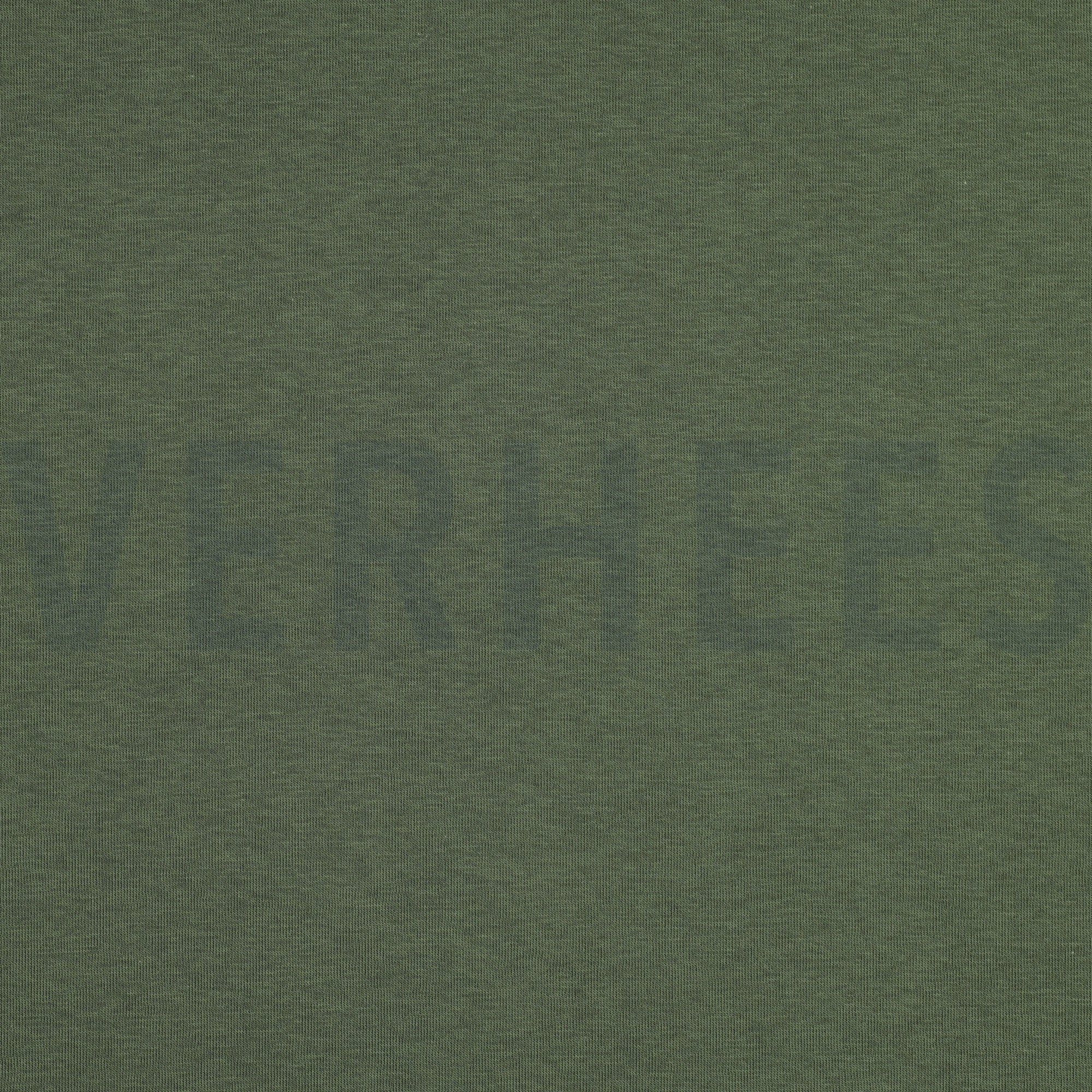 JOGGING BOSGROEN (high resolution)