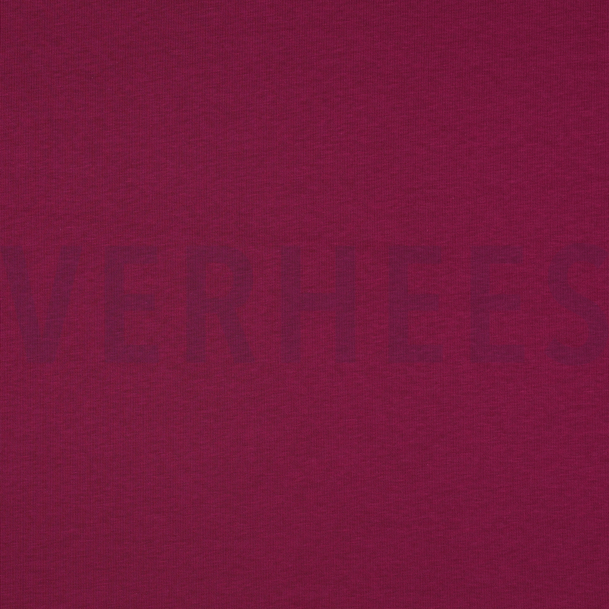 JOGGING VIOLETT (high resolution)