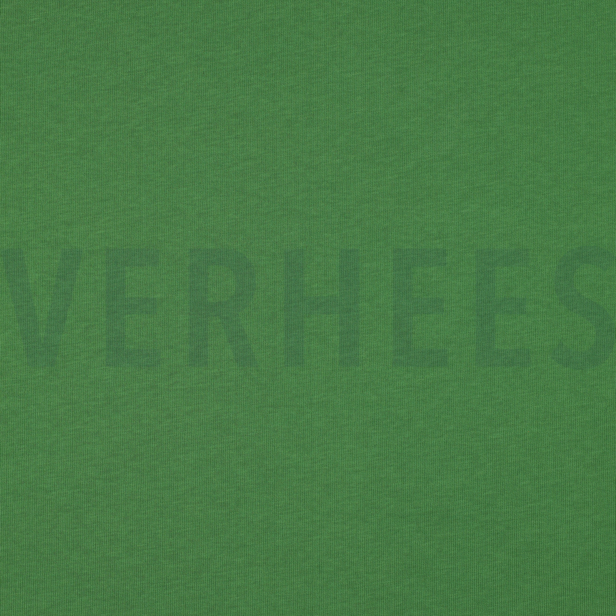 JOGGING GROEN (high resolution)