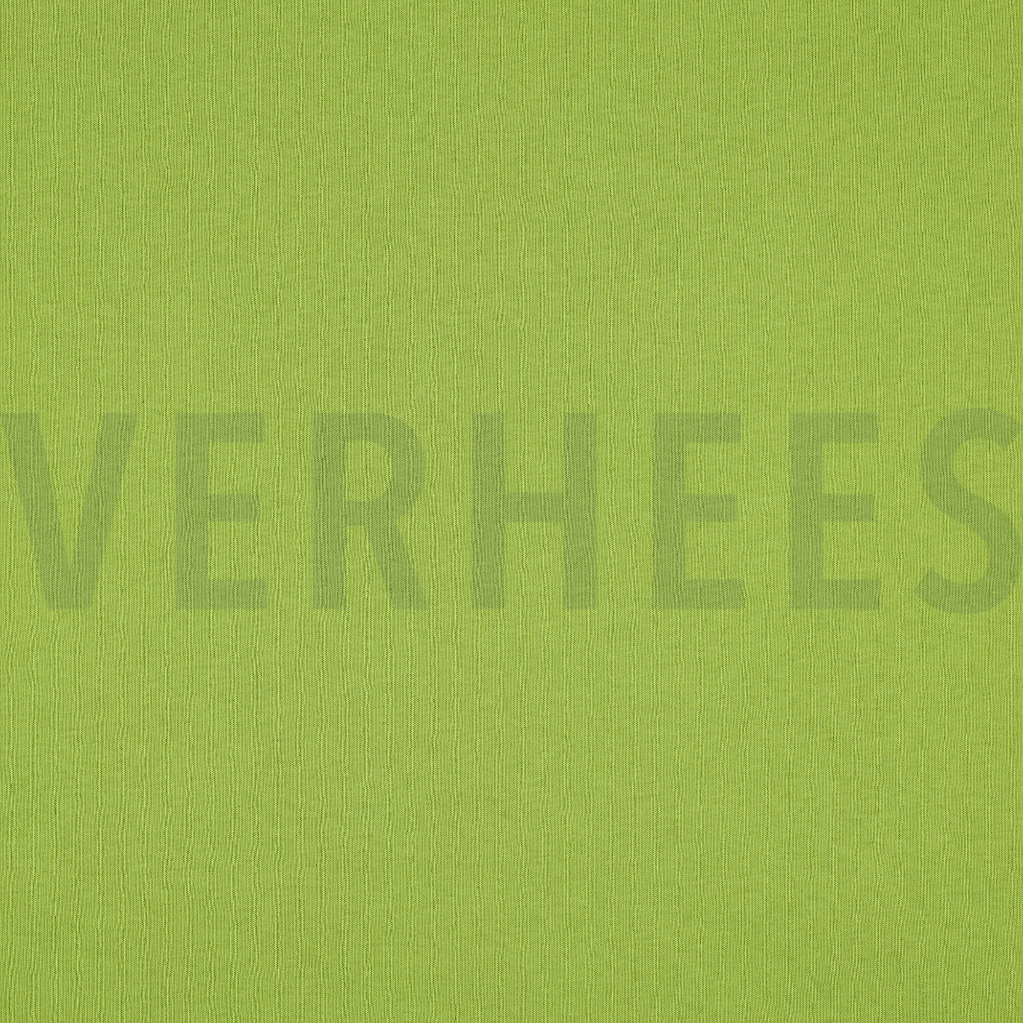 JOGGING OLIVE (high resolution)