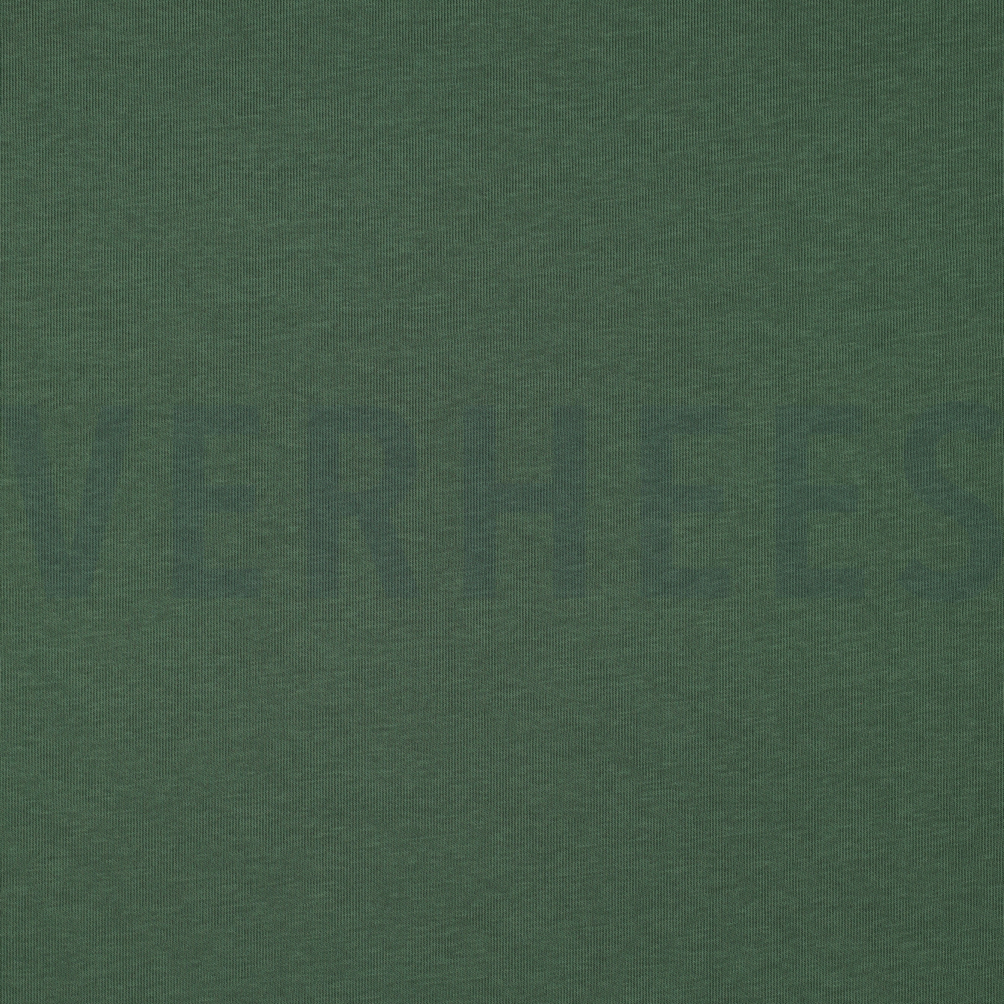 JOGGING WALDGRÜN (high resolution)