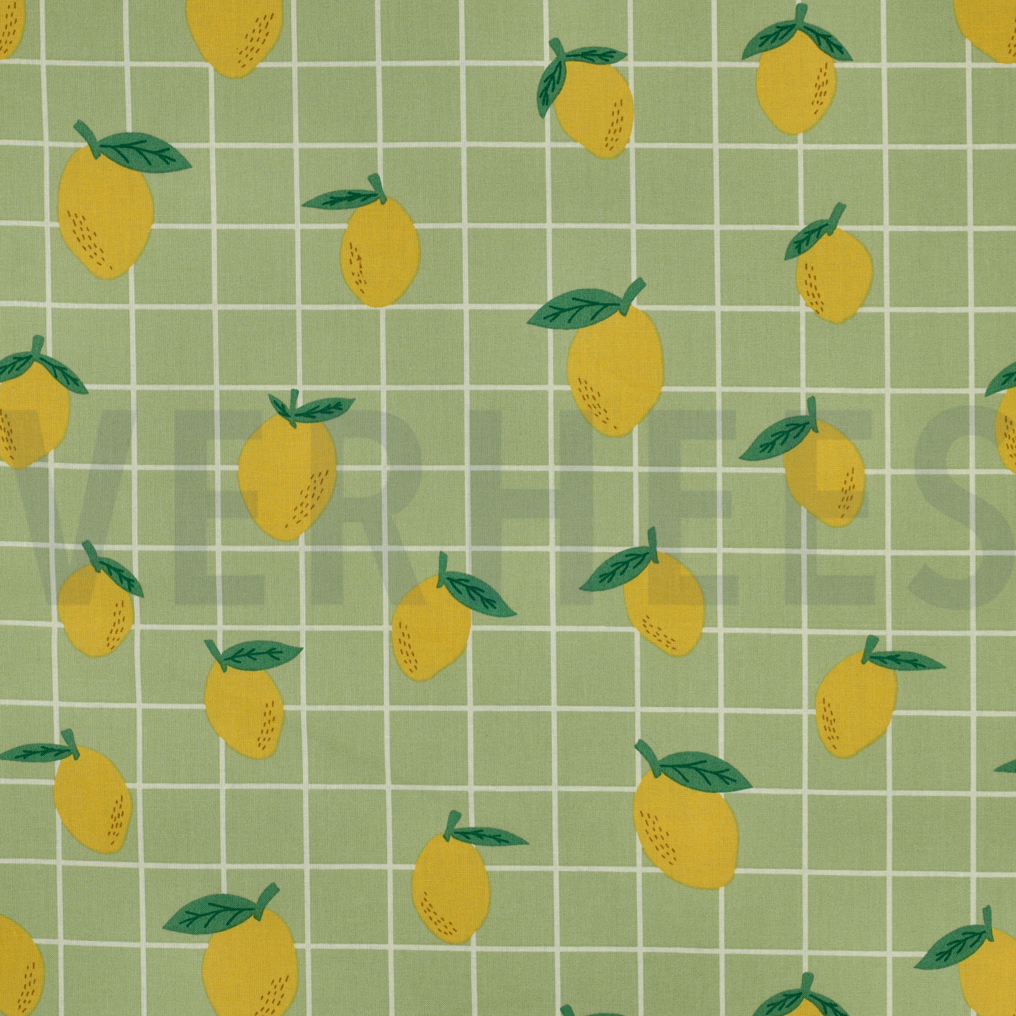 COTON ENDUIT FRUIT VERT (high resolution)
