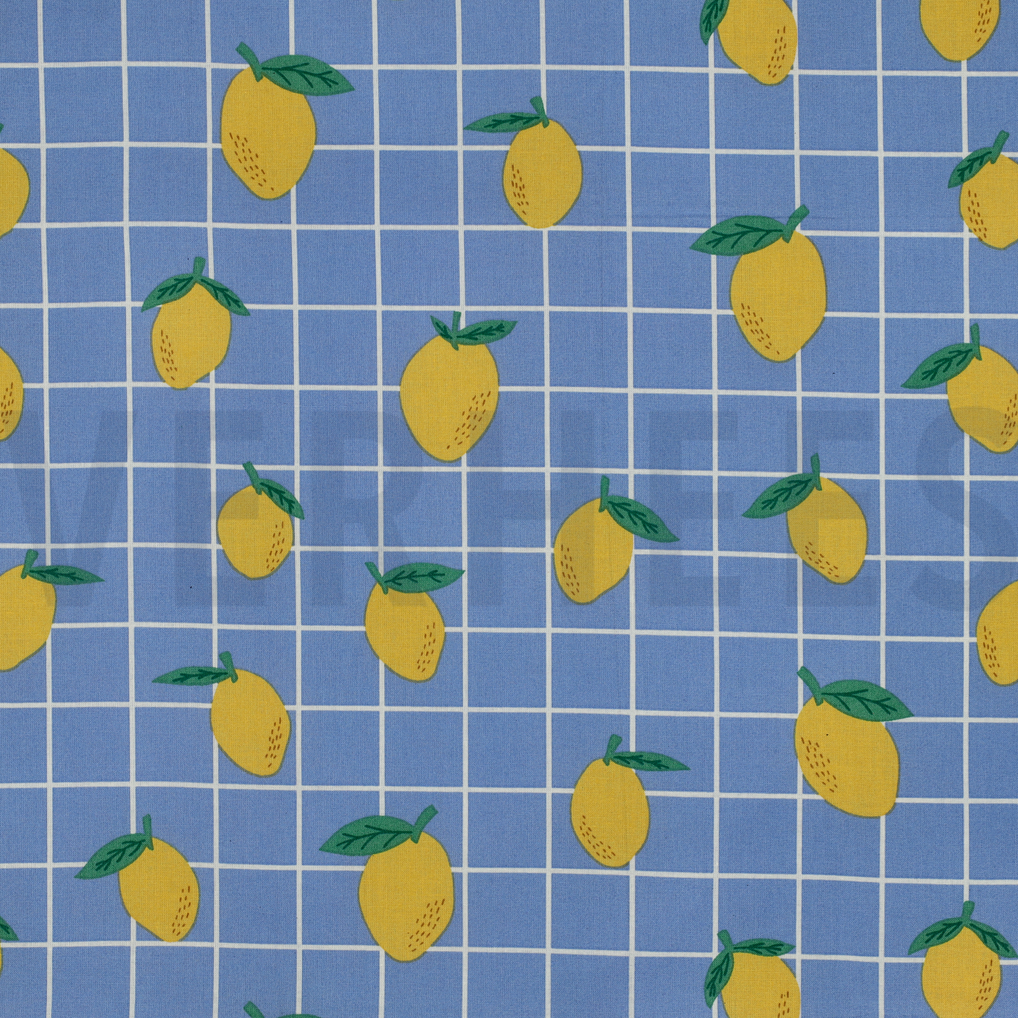 COTON ENDUIT FRUIT BLEU (high resolution)