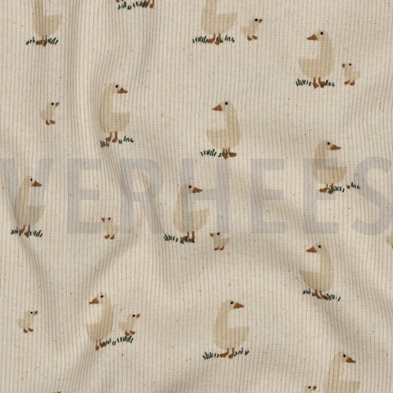 RIB JERSEY GOTS NATUREL EENDEN NATUREL (hover)