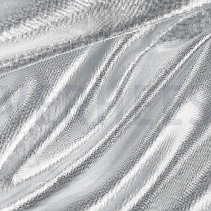 PARTY ZILVER (hover)