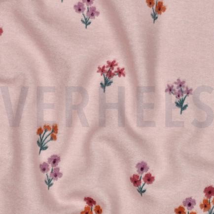 FLANNEL FLOWERS LIGHT PINK (hover)