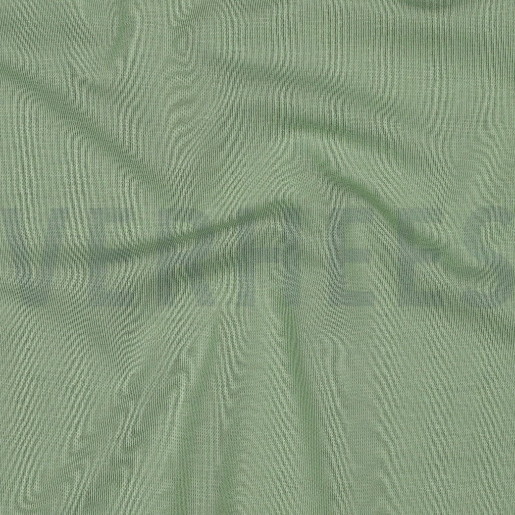 JERSEY GOTS MINTGROEN (hover)
