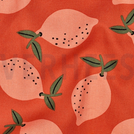 TOILE DÉCORATION FRUIT ORANGE (hover)