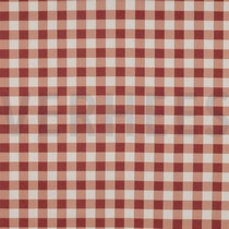 FINE POPLIN MATCHA & CHECKS ROUGE (thumbnail)